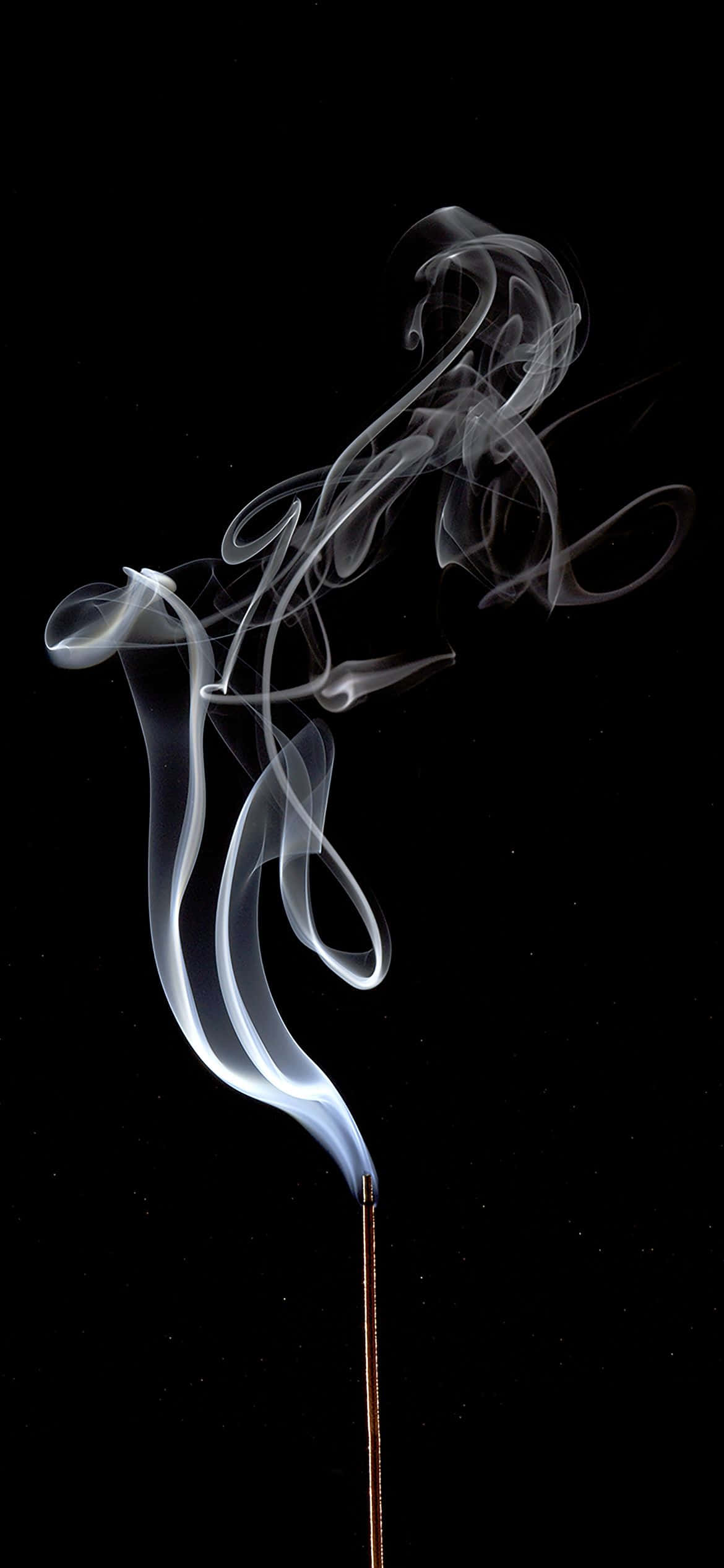 1170x2532 Бял дим креативен кадър Тапет