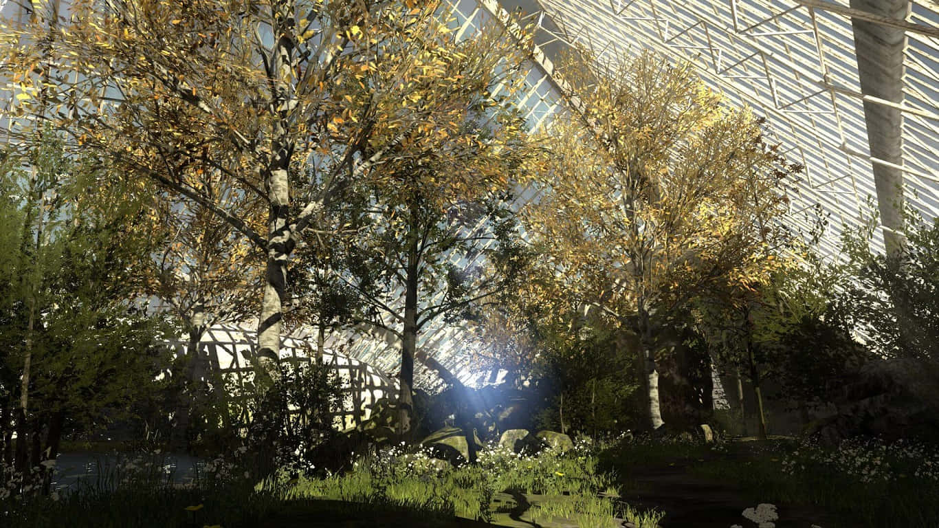 1366x768 The Talos Principle Gehenna Forest фон Тапет
