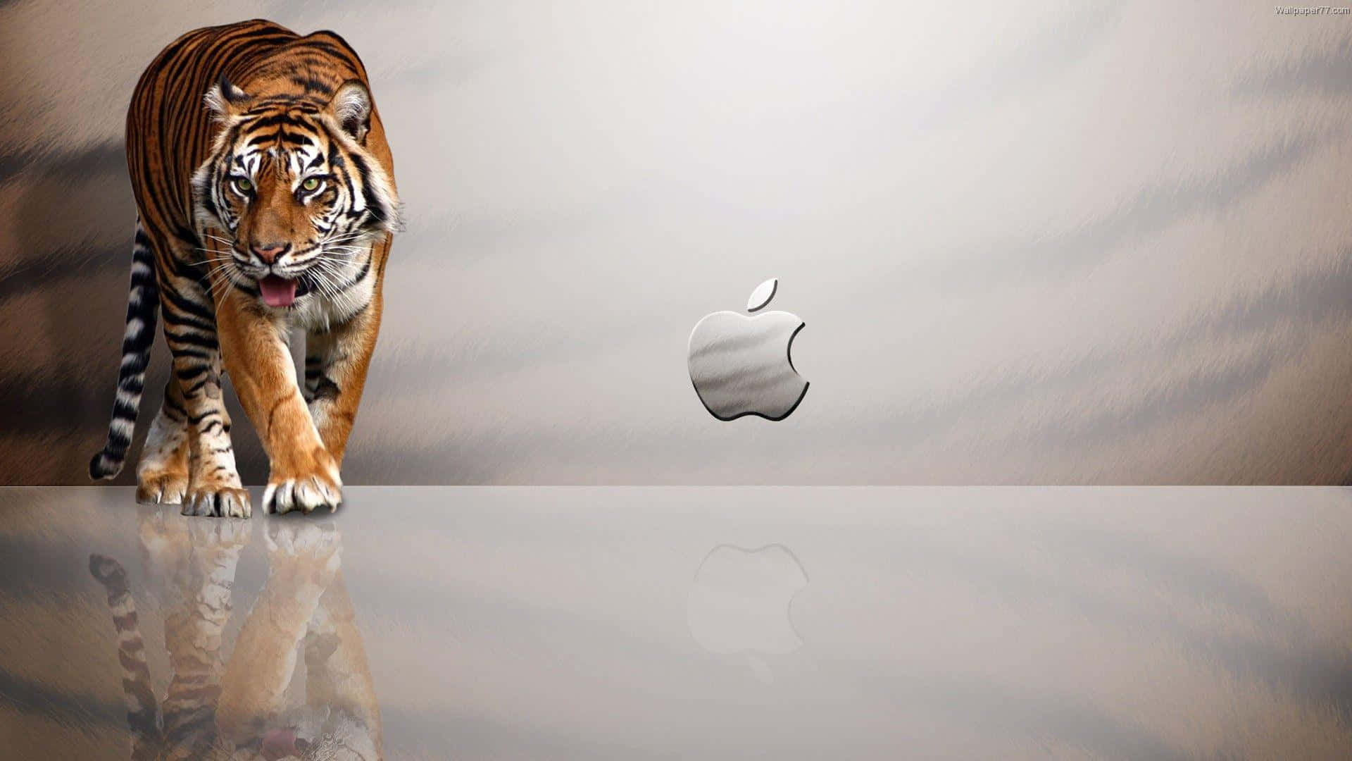 1920x1080 Apple Фон Тигрови Ивици Тапет
