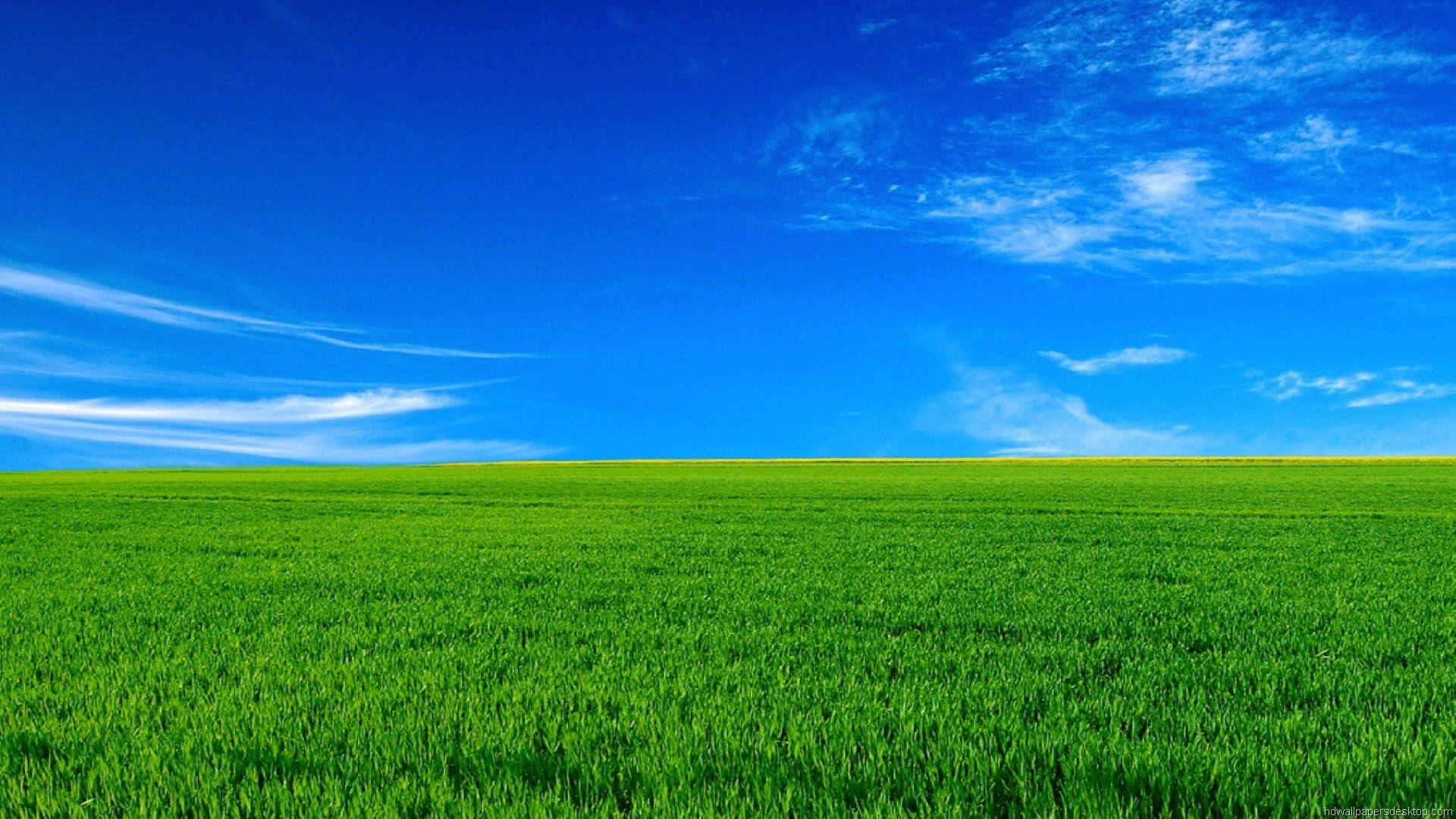 1920x1080 Full HD Природа Зелена Трева Синьо Небе Тапет
