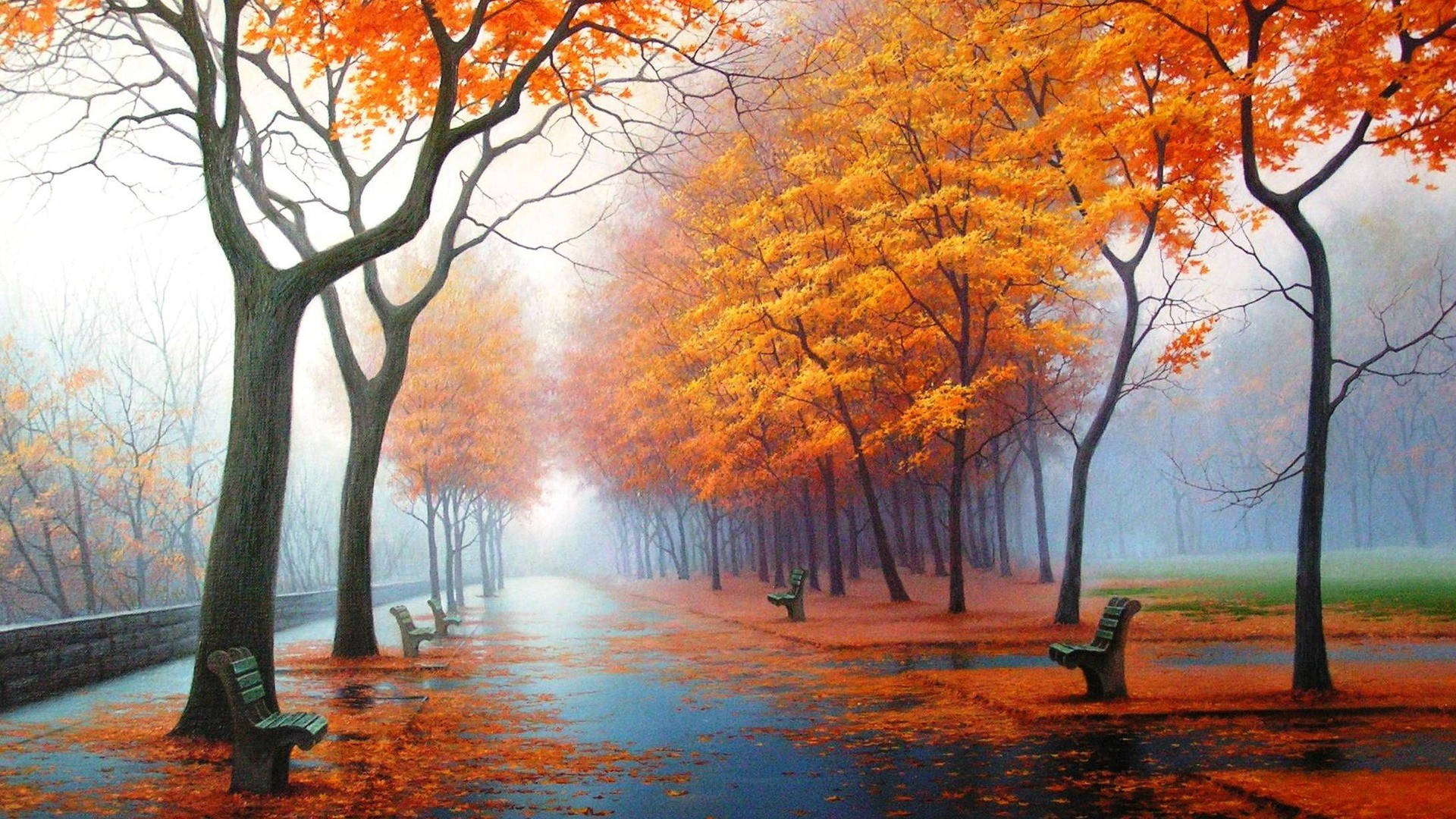 1920x1080 Full HD природа оранжеви листа дървета Тапет