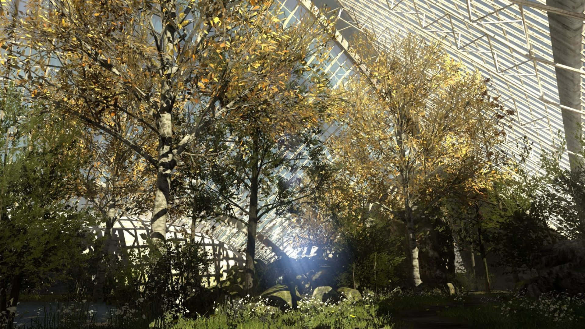 1920x1080 The Talos Principle Буйна Горска Фон Тапет