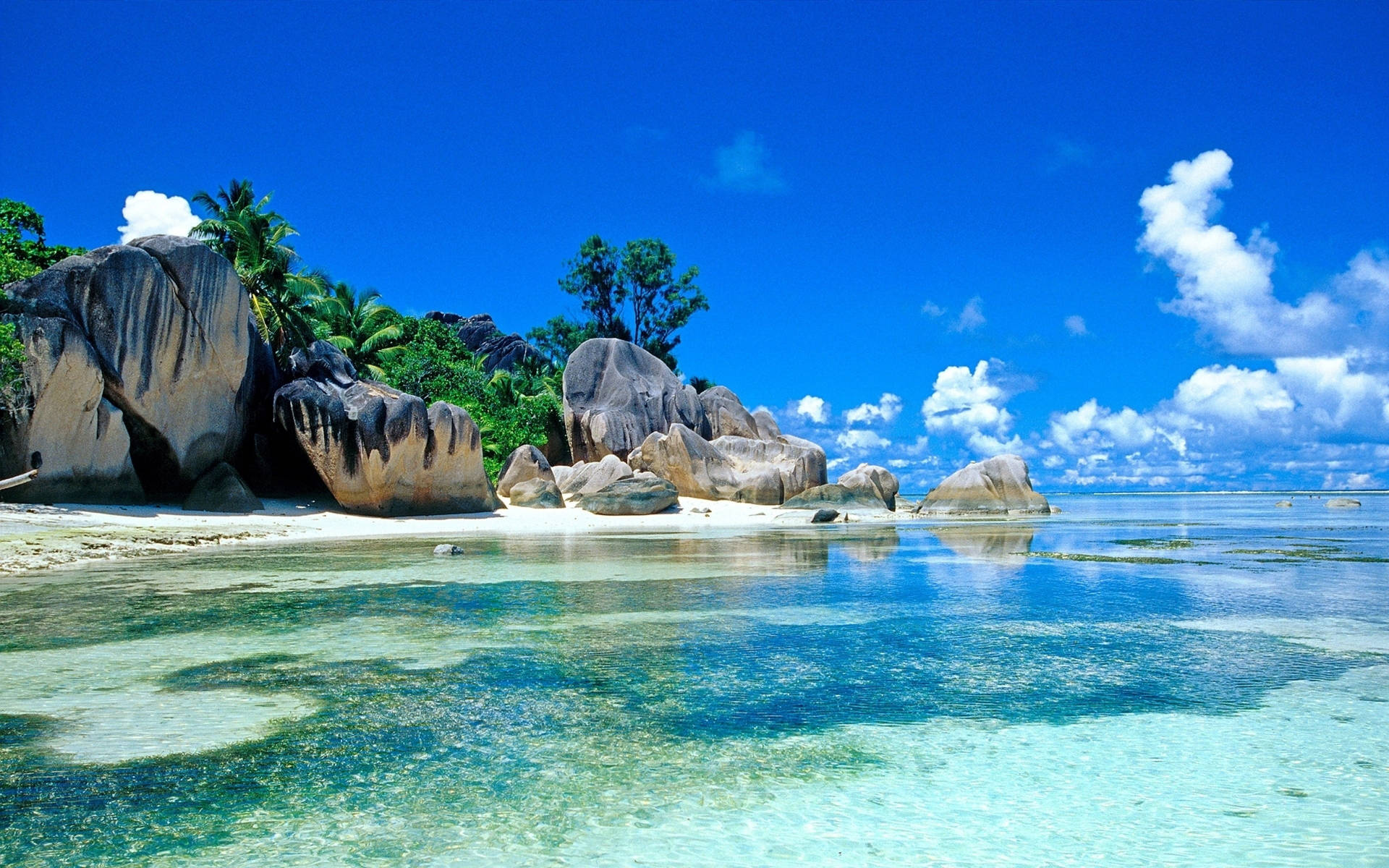 32K Ultra HD Природа Плаж Чиста Вода