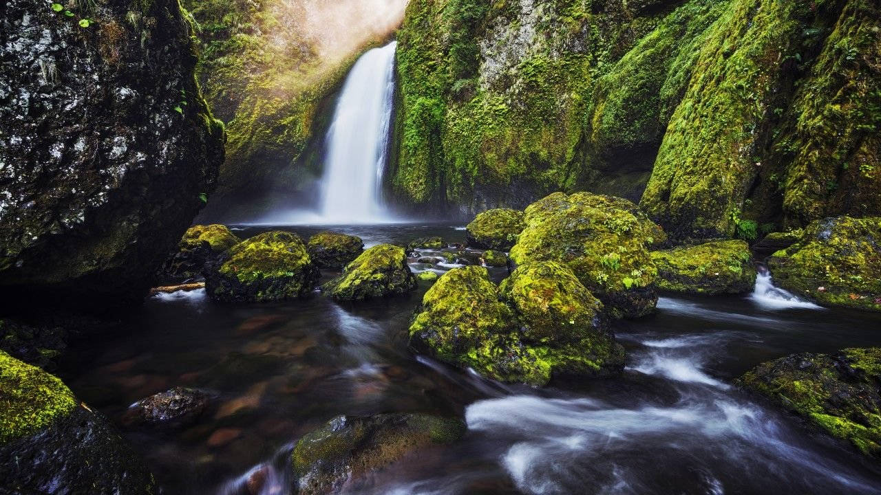 4K Природа Мъхести Скали Тапет