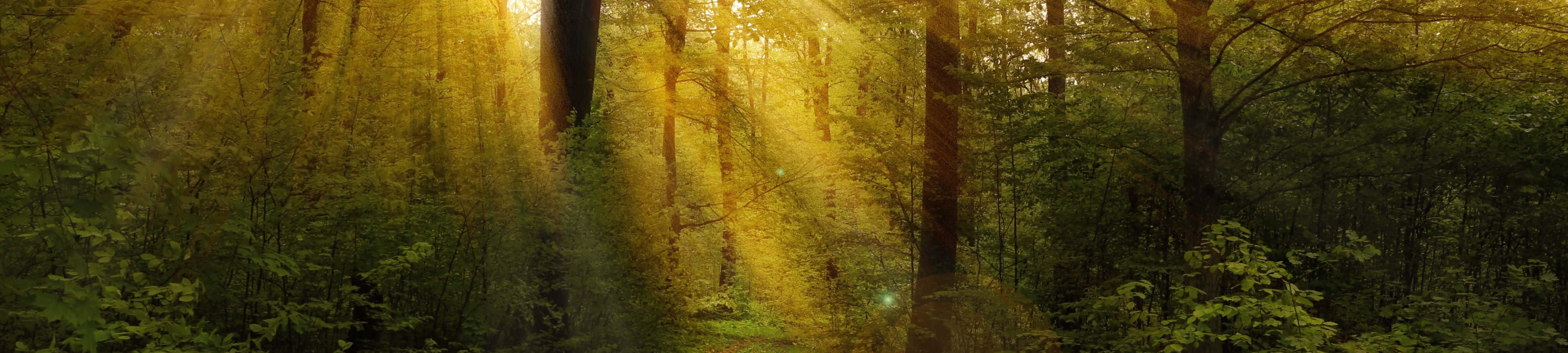 Глътка свежий въздух - Нетронута природа в 4K Тапет