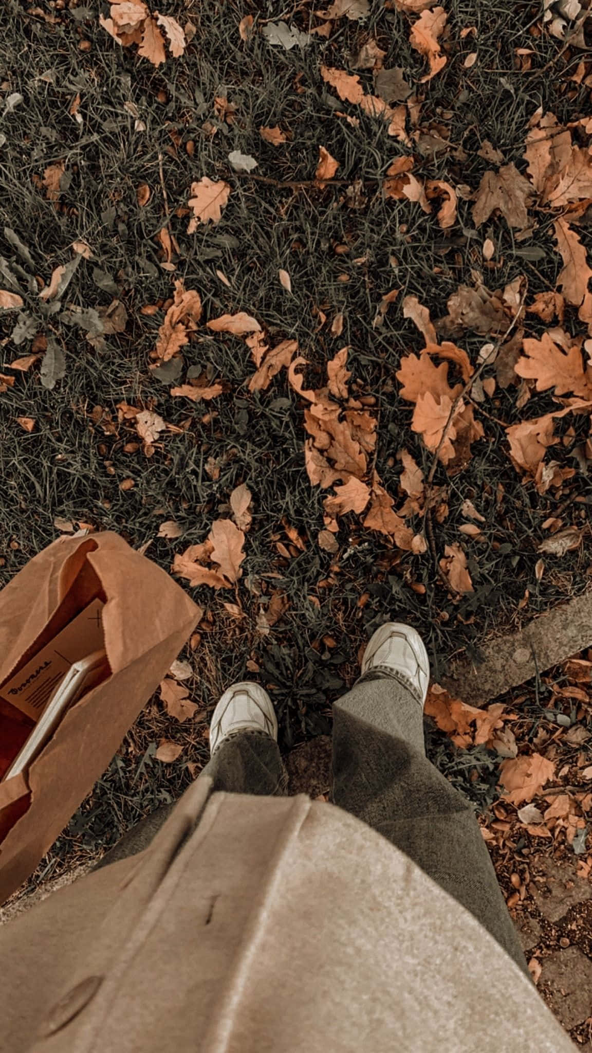Наслаждайтесь уютным, успокаивающим эффектом Aesthetic Brown Тапет