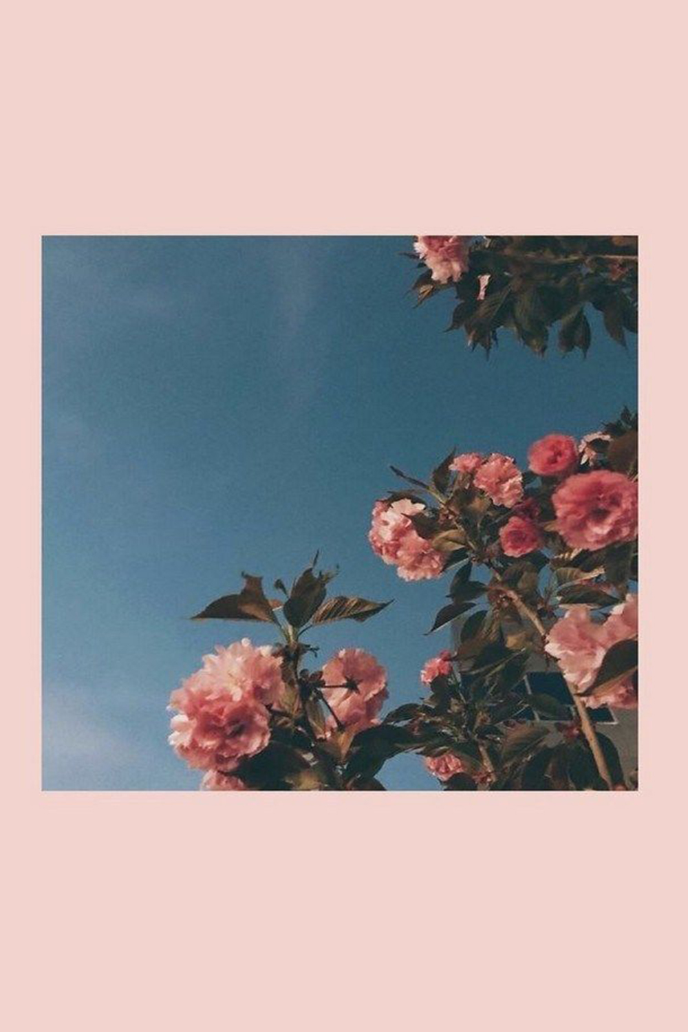 Отключете креативността, където и да отидете, с красивия Aesthetic iPad Тапет