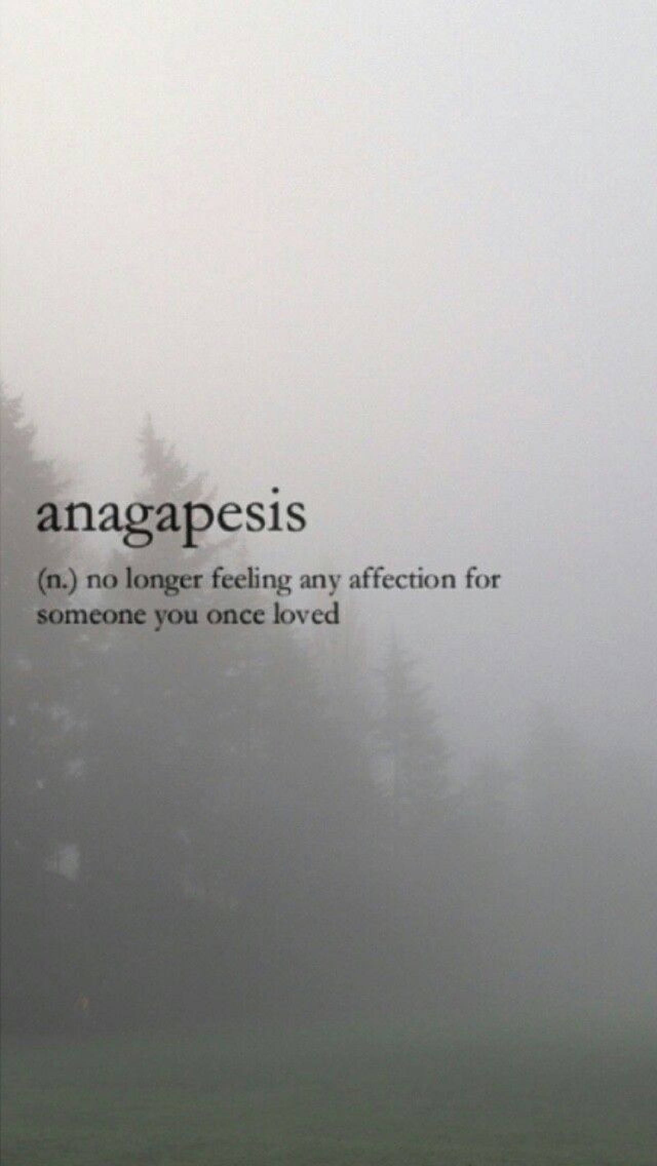 Anagapesis Естетична Дума Тапет
