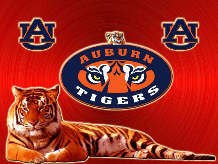 Ревящ тигър в ден на мач на Auburn Football Тапет