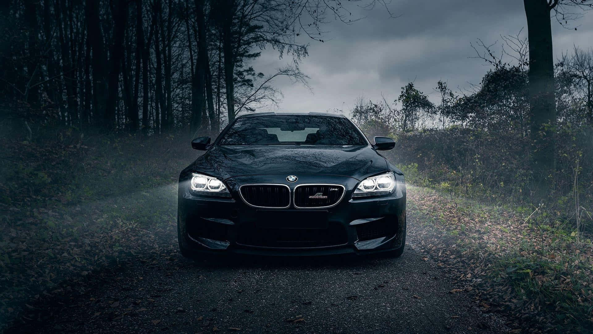 BMW 1920x1080 шофиране нощна гора Тапет