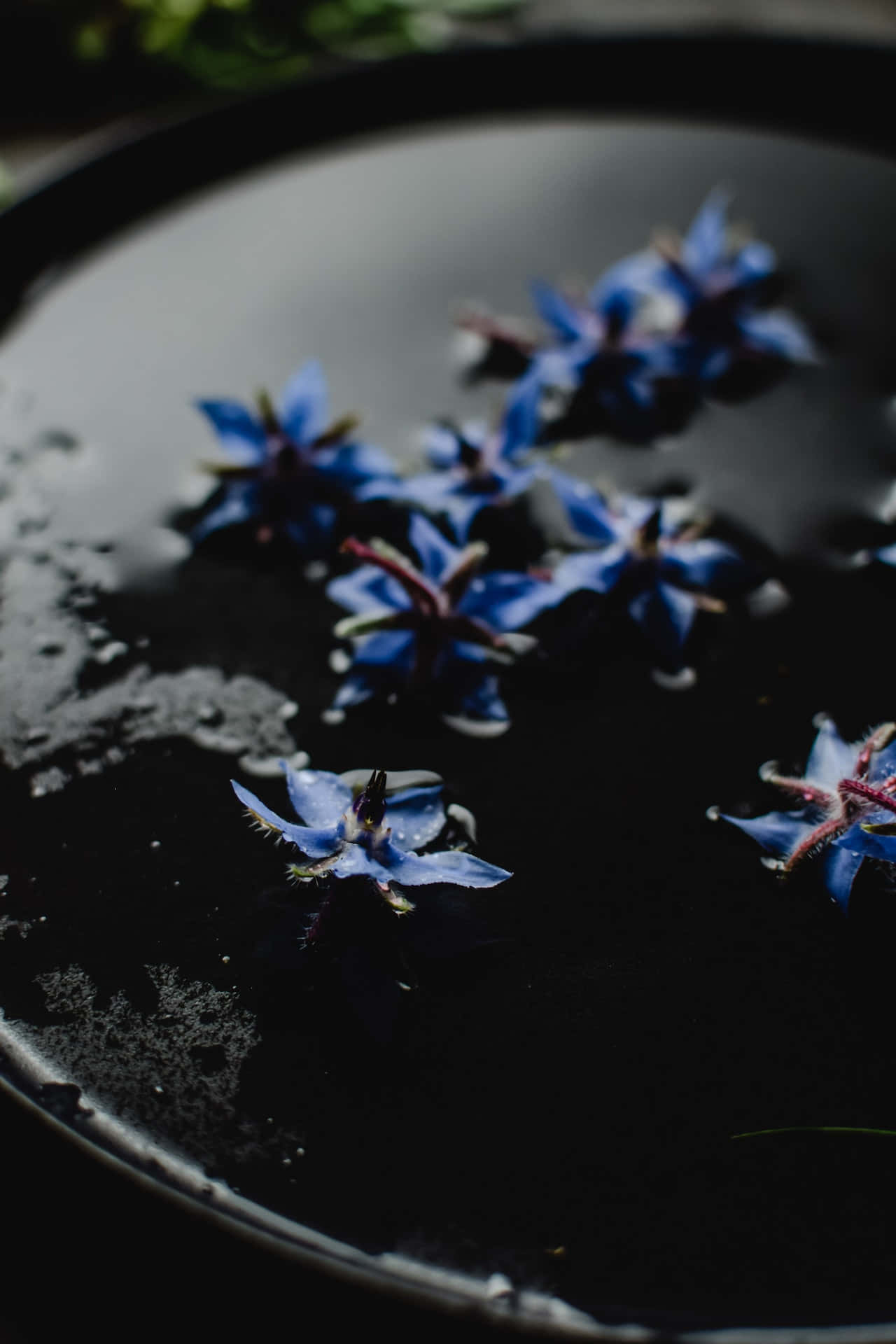 Borage Blue Flowers Phone Тапет