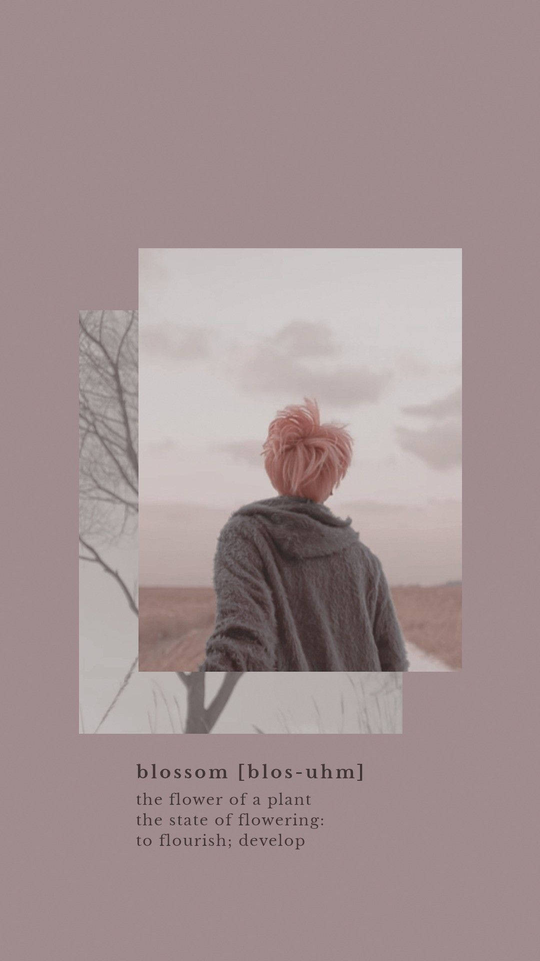 Естетичен BTS Jimin Blossom Тапет