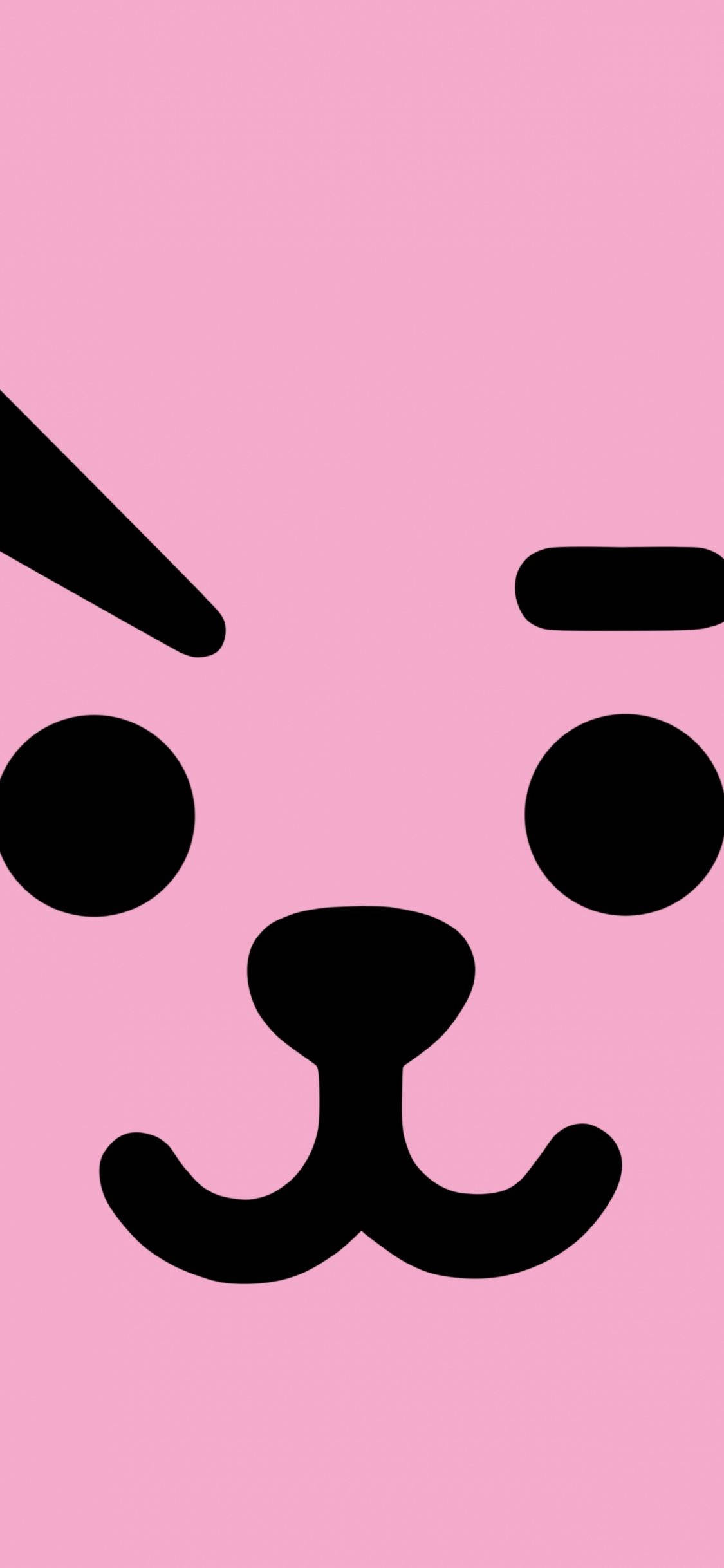 Cooky Bt21 Full Face Тапет
