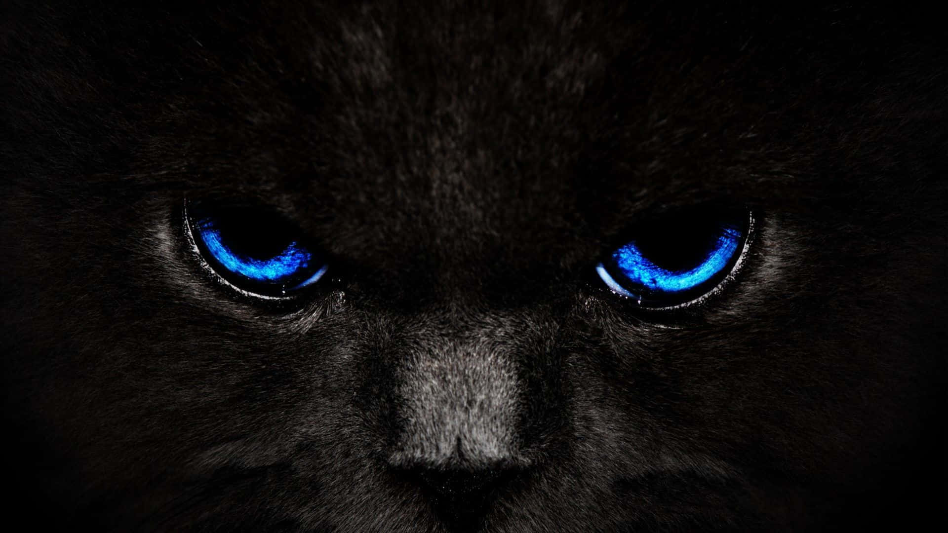 Открийте красотата и динамиката на Cool Black Тапет