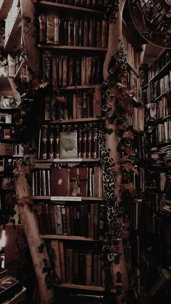 Фон в стил Dark Academia Тапет