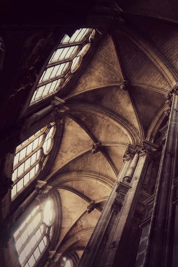 Фон в стил Dark Academia Тапет