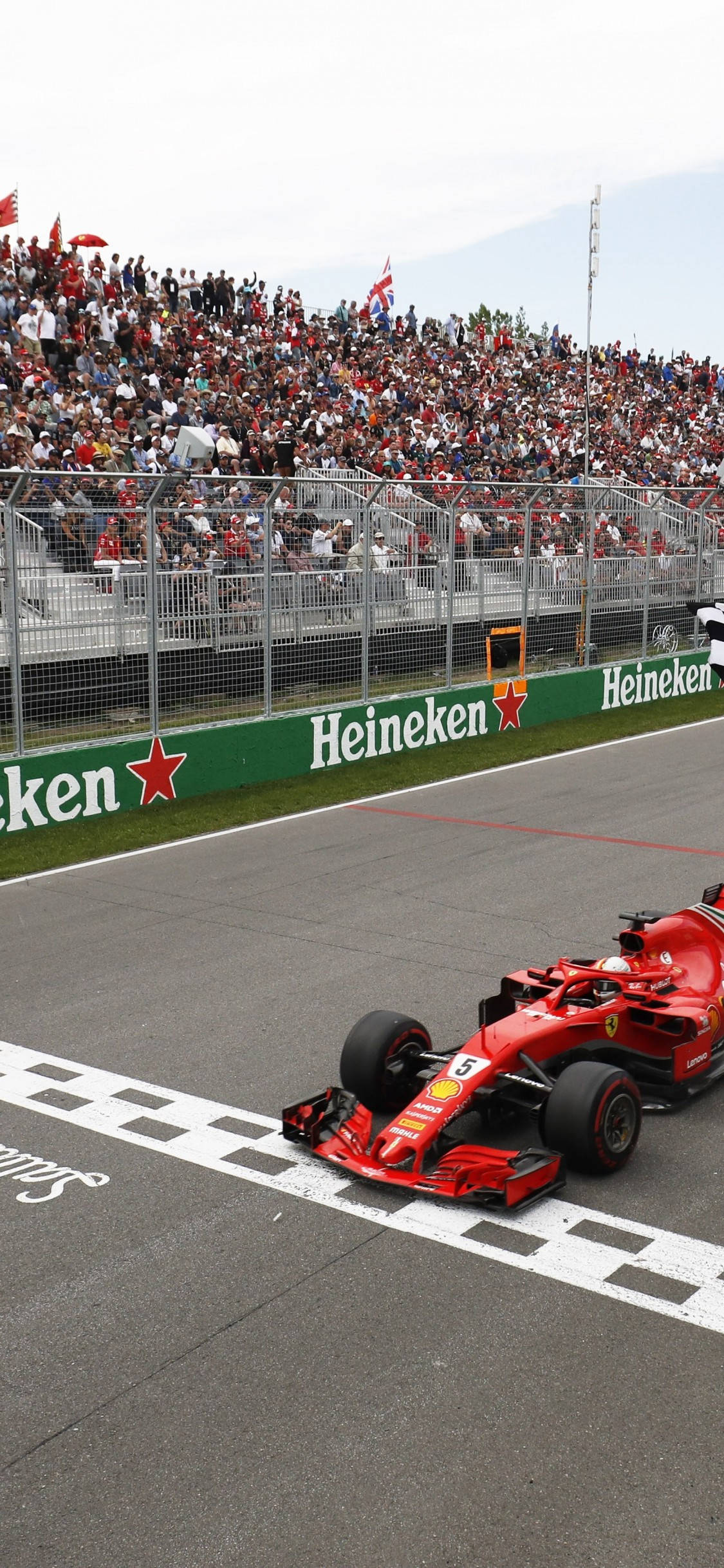 F1 Фетел Финална Линия iPhone Тапет