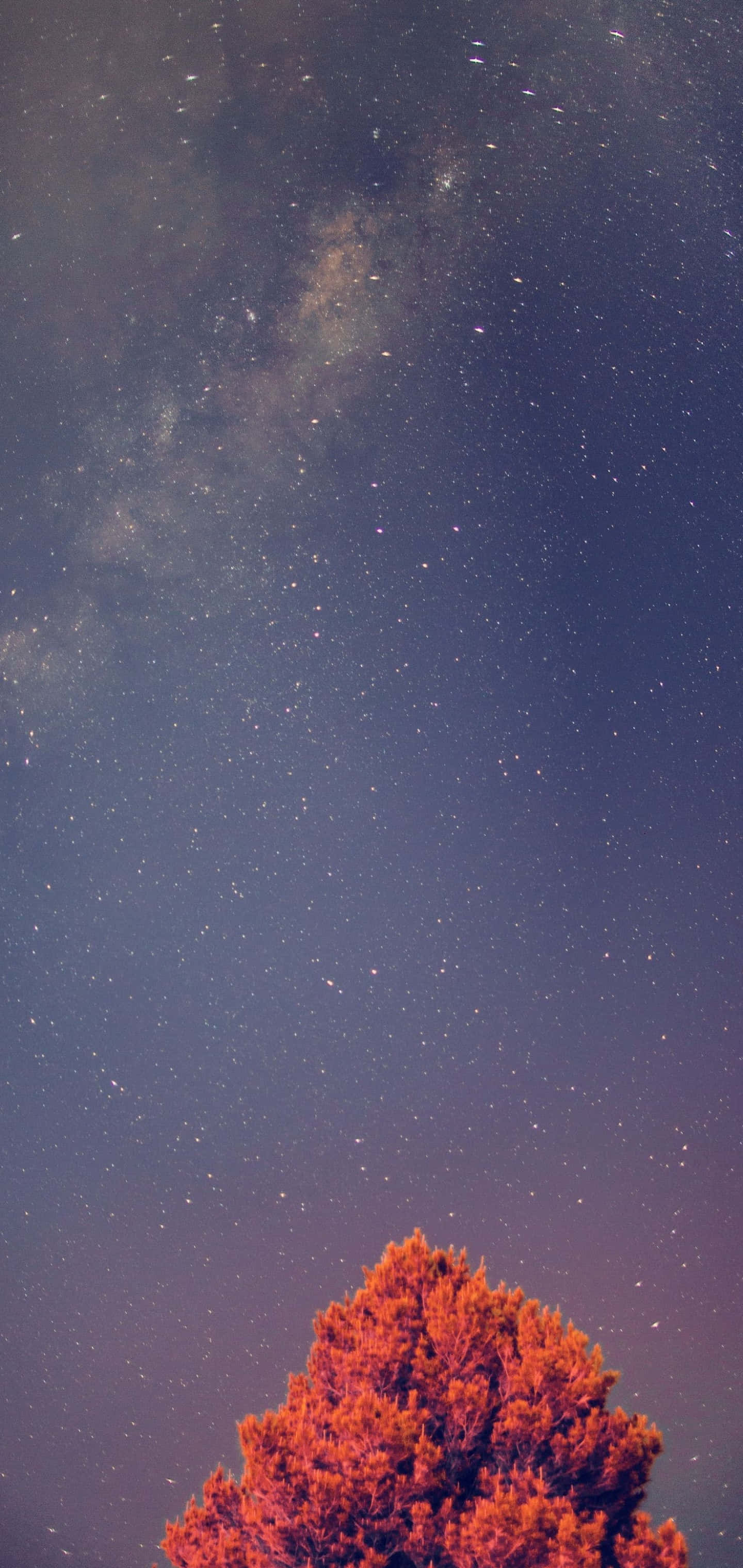Фон за Galaxy S10 Plus Тапет