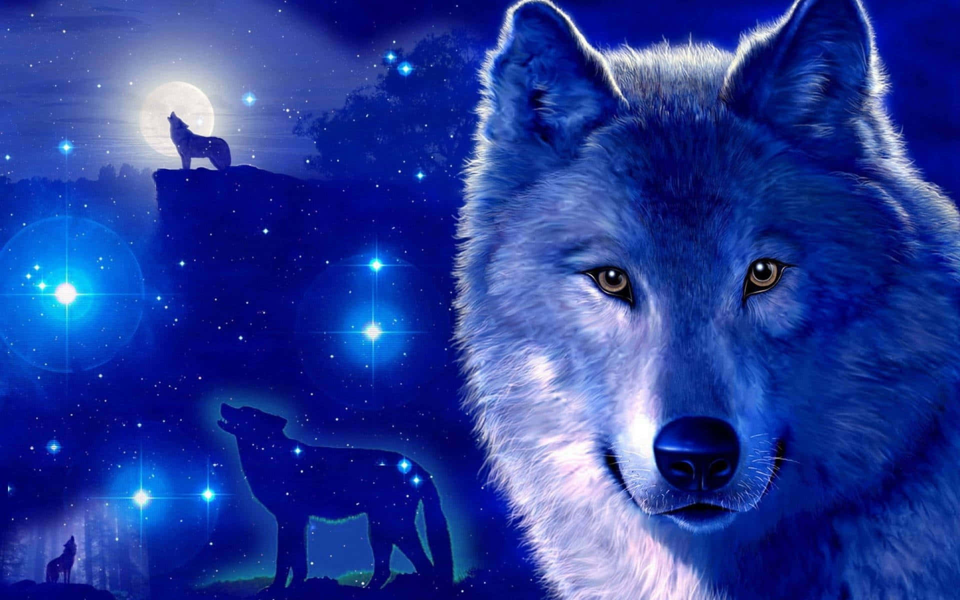 Изживейте красотата на звездите с Galaxy Wolf Тапет