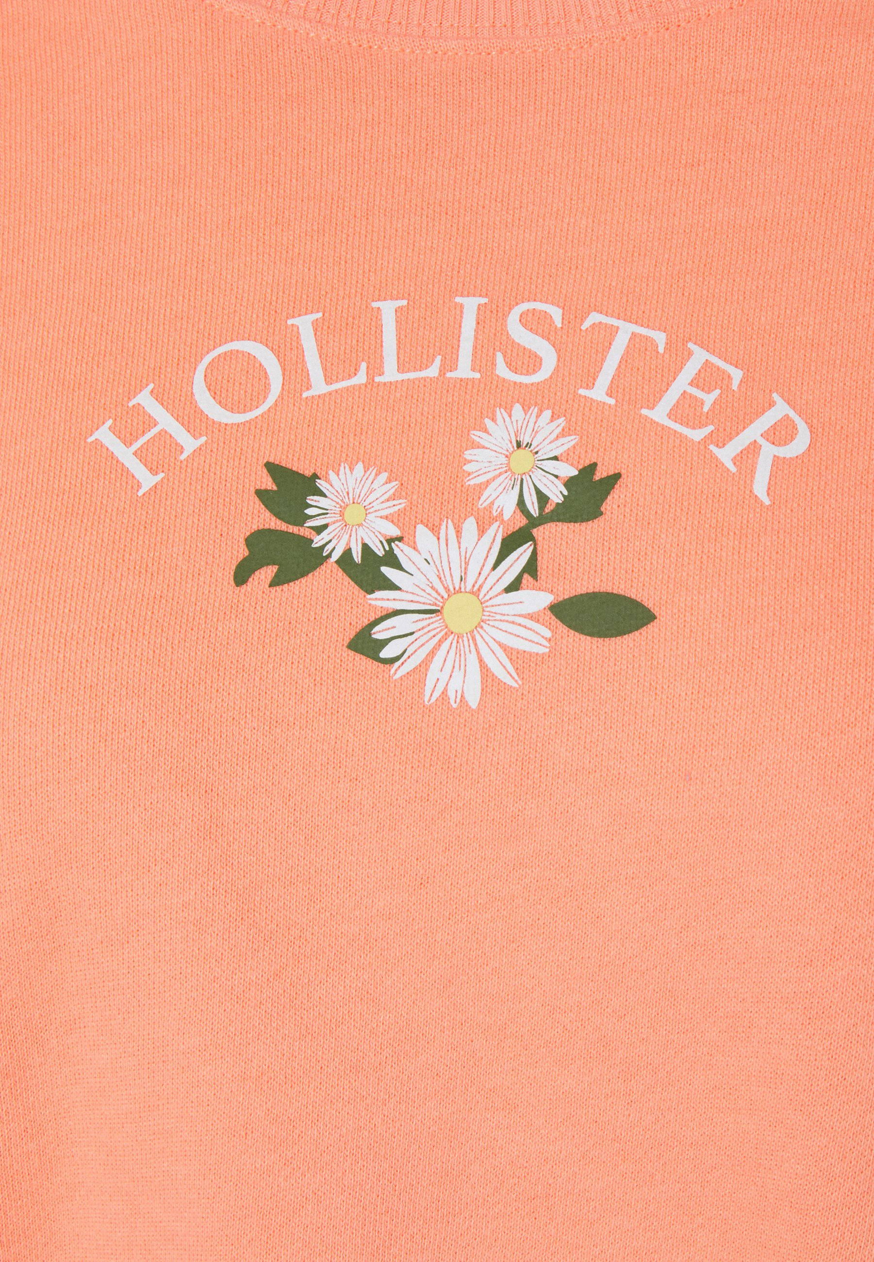 Илюстрация на три бели цветя Hollister Тапет