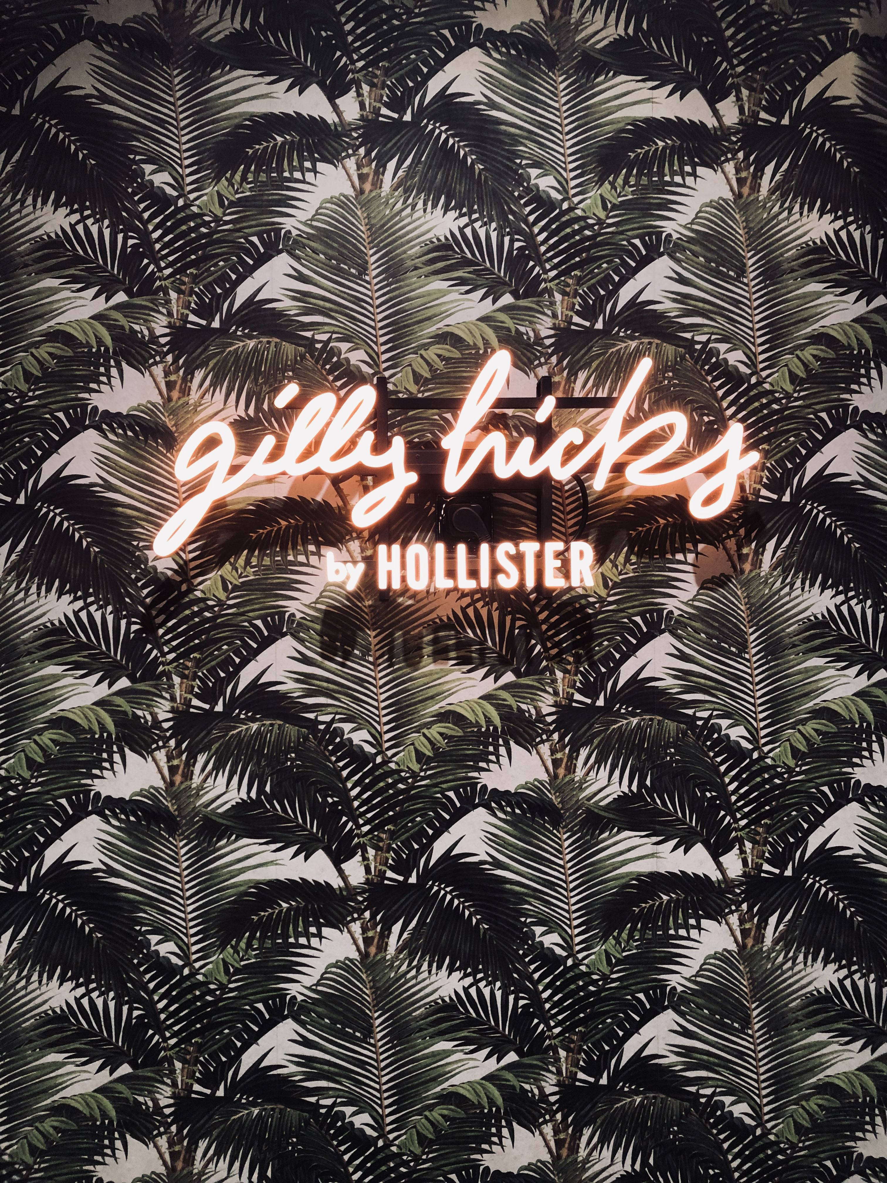 Листа от палмово дърво Hollister Тапет