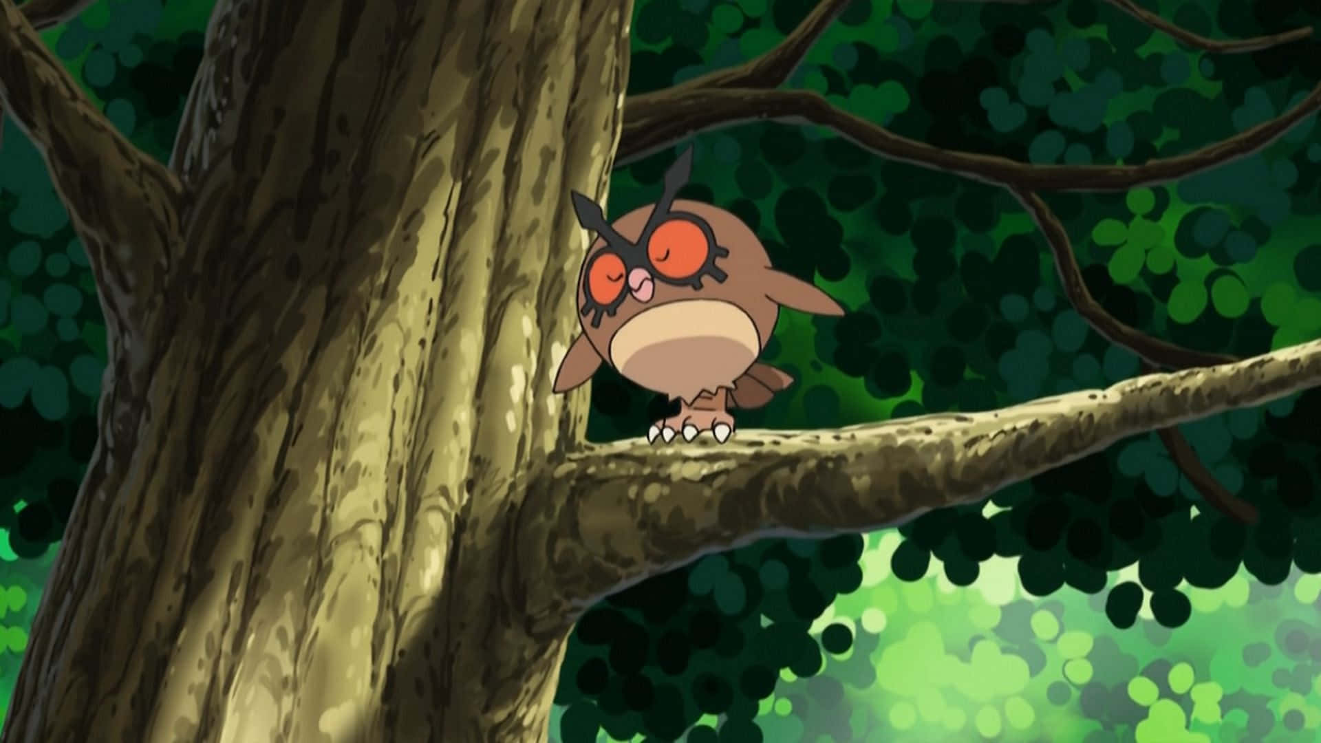 Hoothoot, кацнал на клон на дърво Тапет
