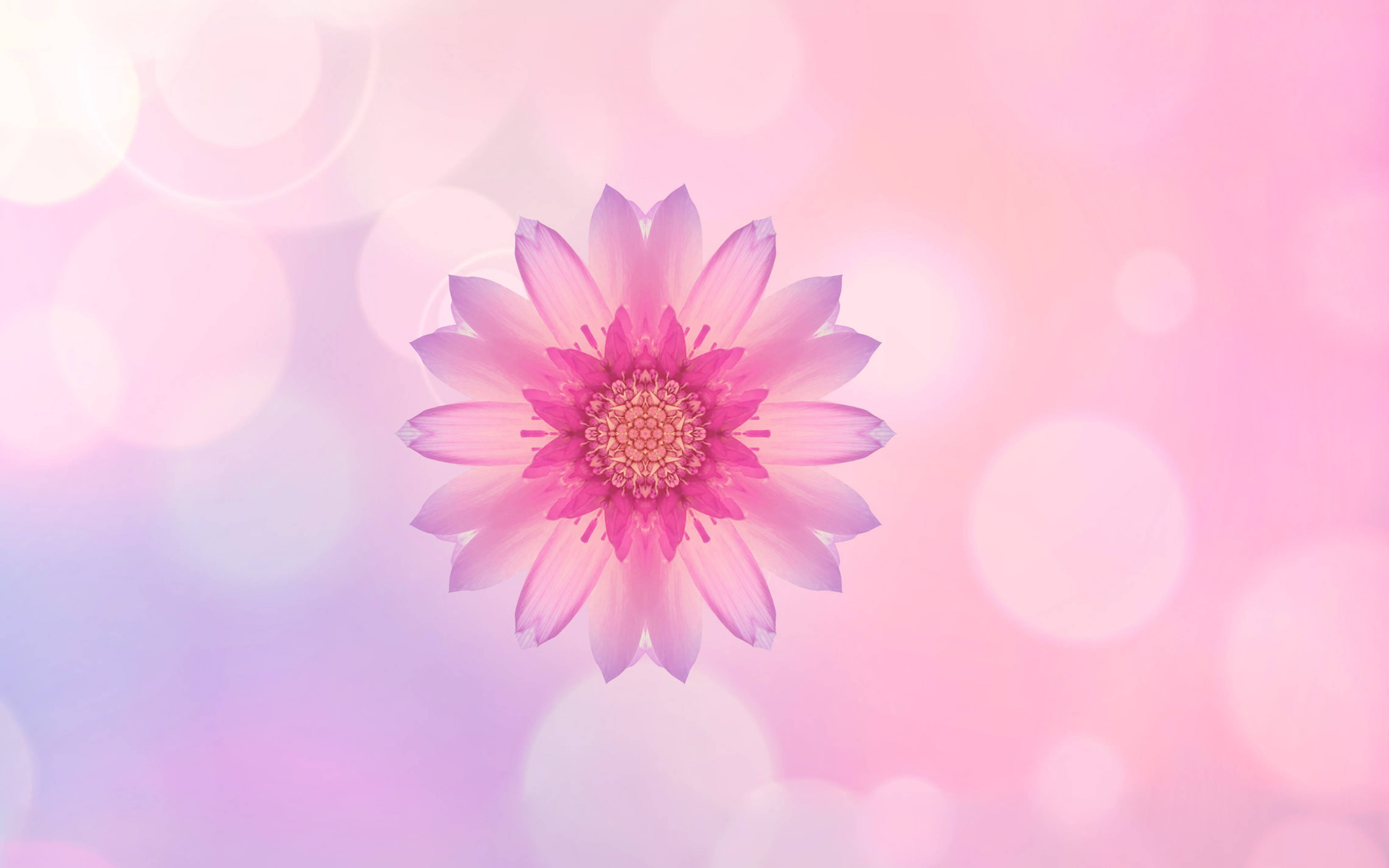 Huawei Pink Flower Тапет