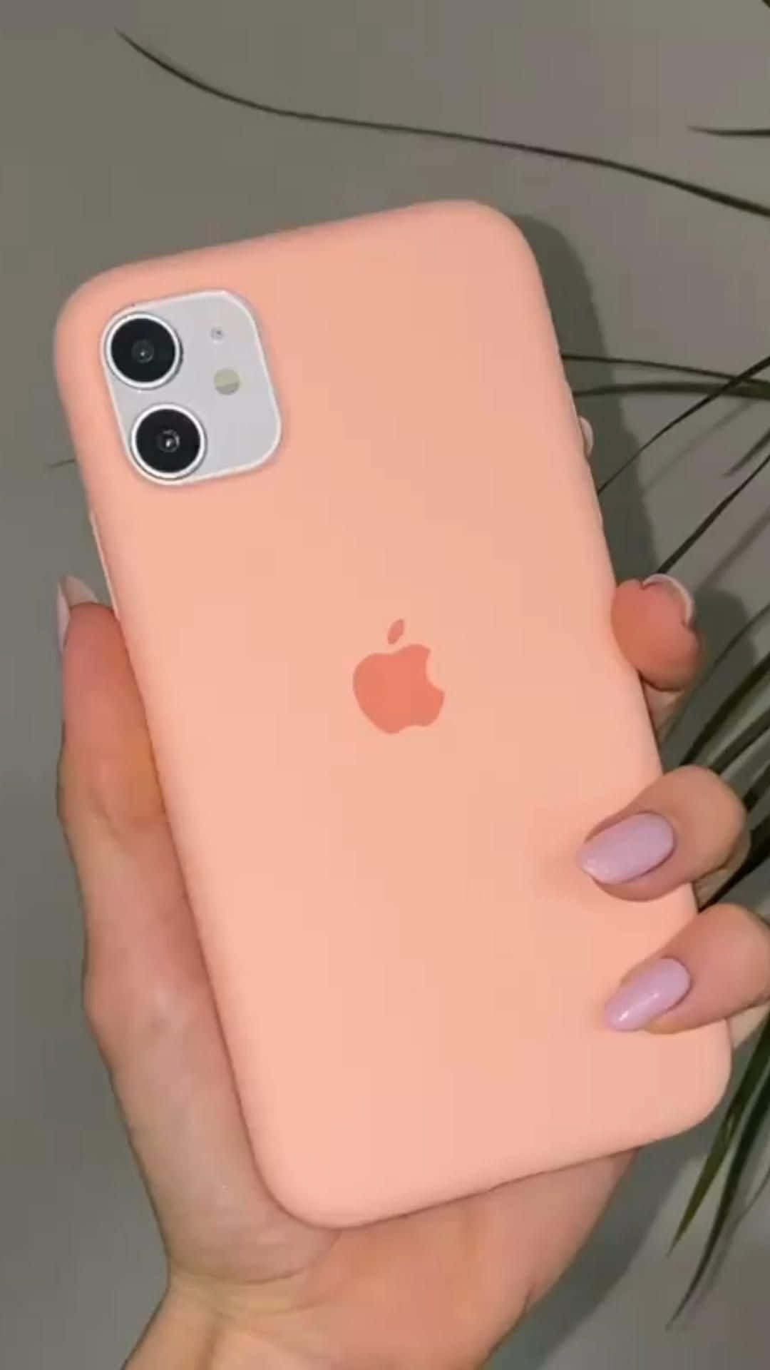 Снимки на iPhone 12 Тапет