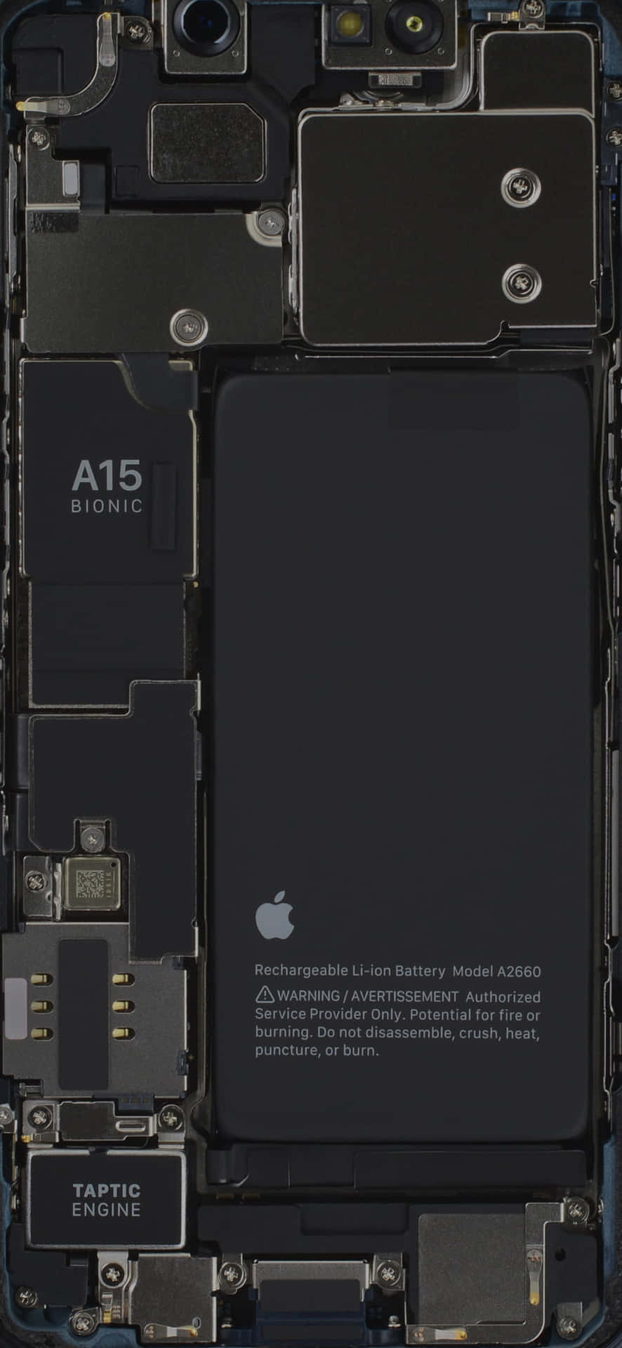Съвсем нов iPhone 13 Mini – Изживейте истинна висока разделителна способност Тапет