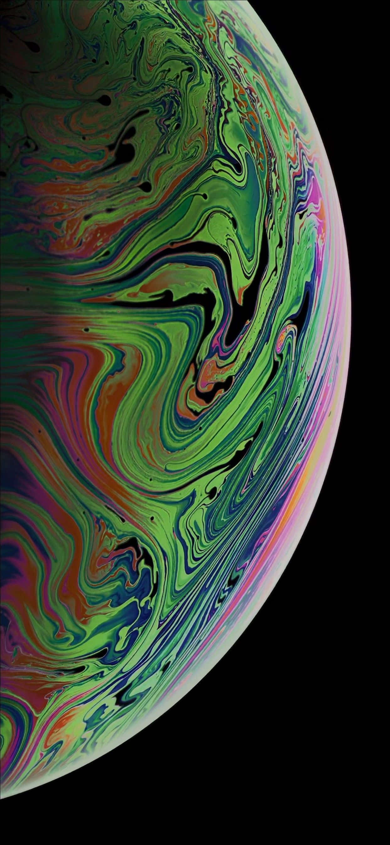 Сладък тапир iPhone тапет