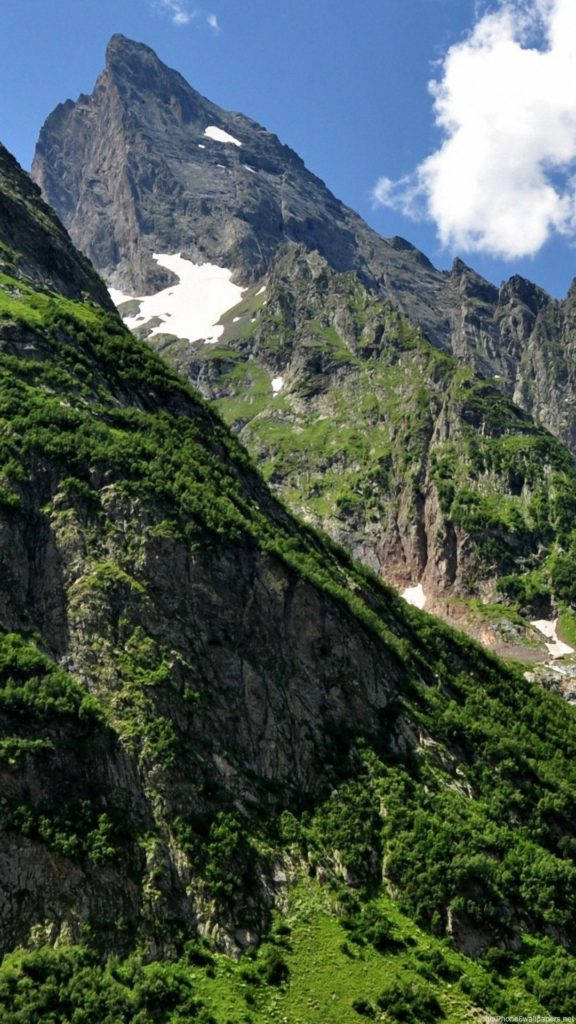 Планинска гора природа iPhone Тапет