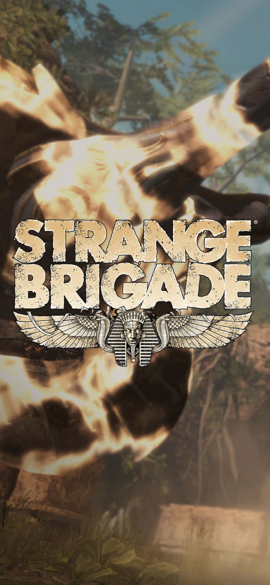 Бутилка с огнено оръжие iPhone X Strange Brigade фон Тапет