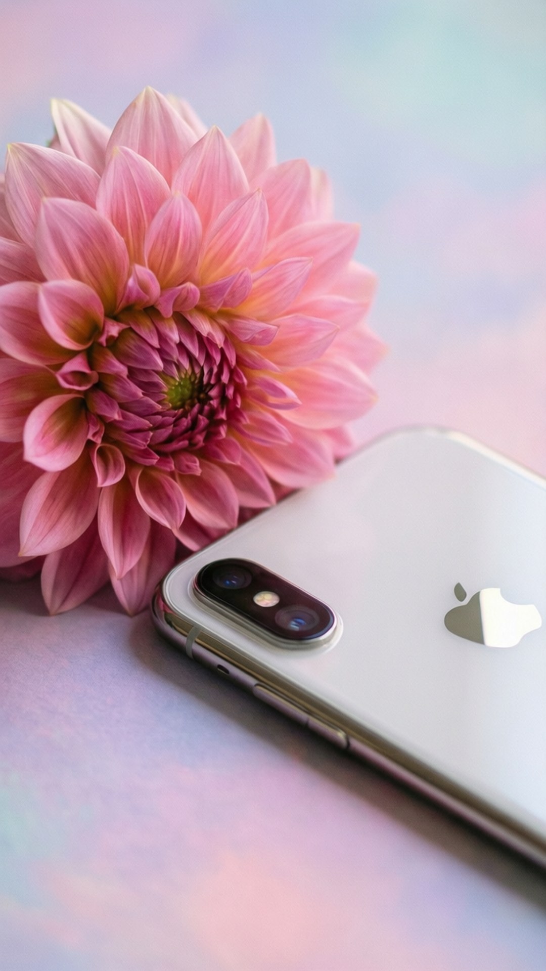 Цветна елегантност iPhone XR Тапет
