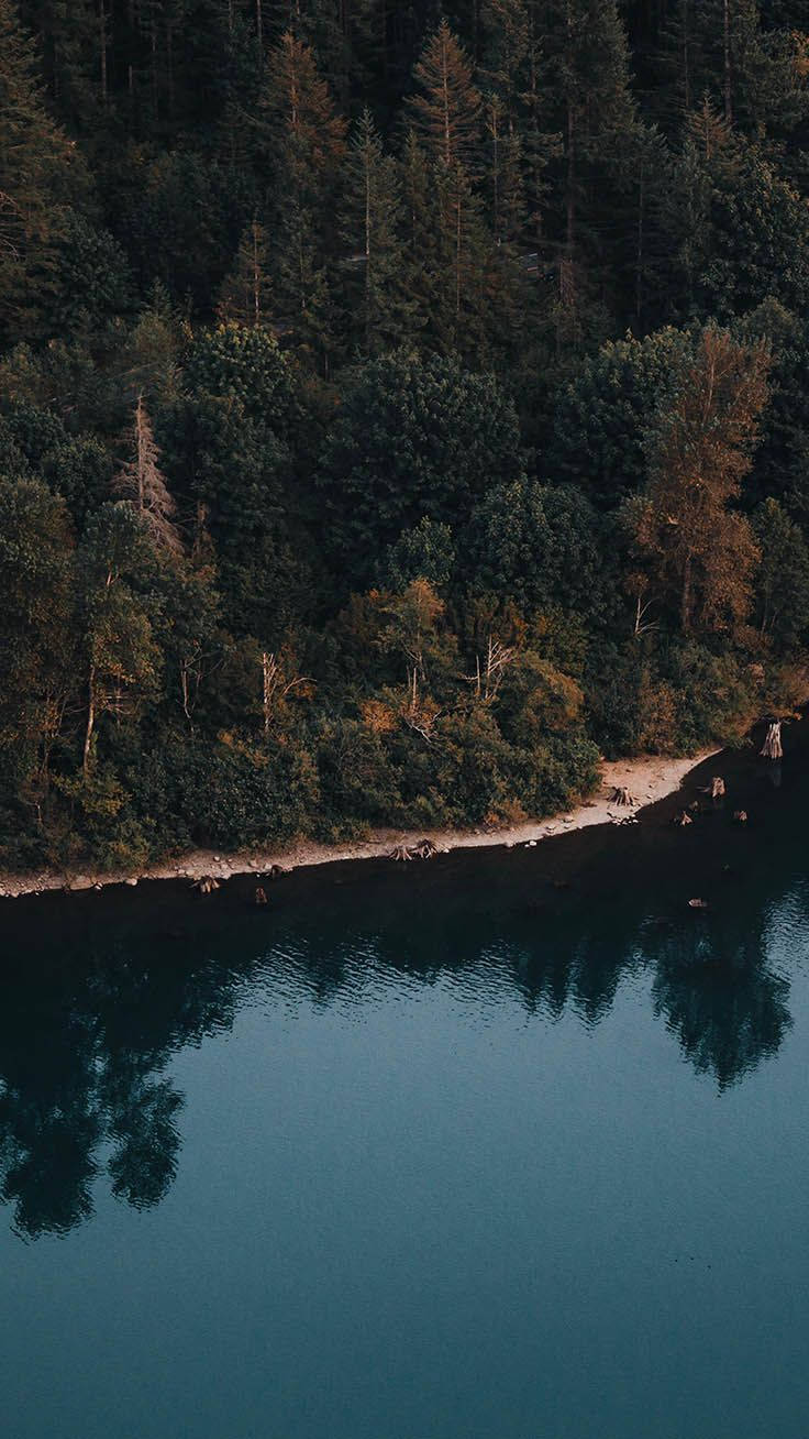 Наслаждайте се красотата на природа с iPhone XR. Тапет
