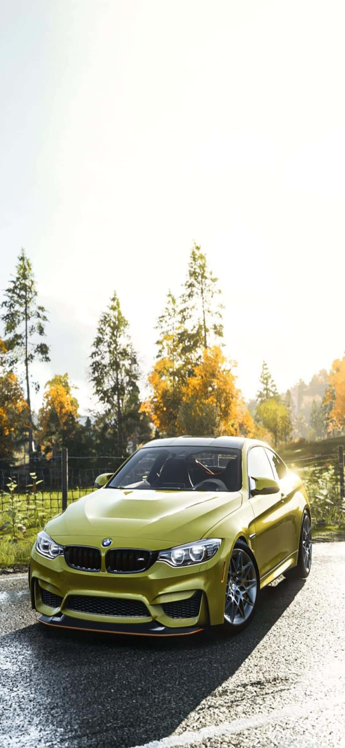 Бързи и яростни, Седни зад вола на iPhone Xs и се състезавай за победа във Forza Horizon 4 Тапет