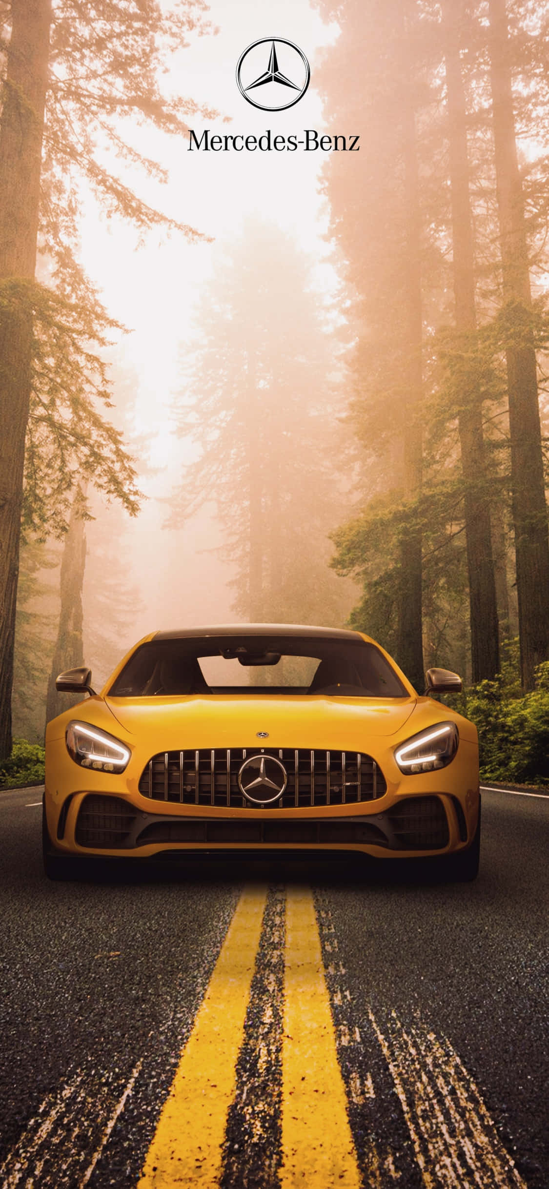 Жълт фон за iPhone Xs Mercedes Amg в гора Тапет