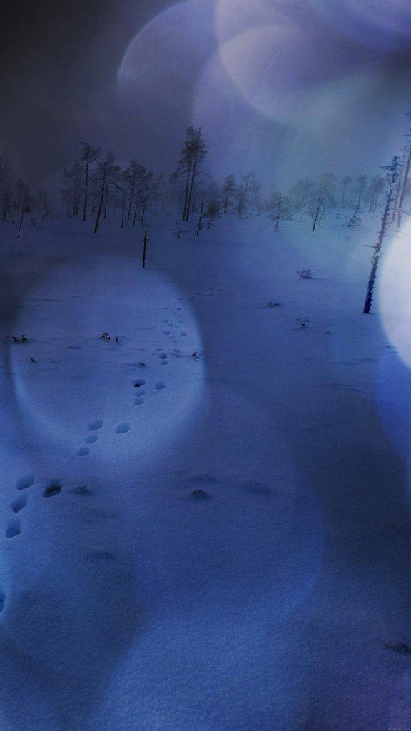 Зимна природа за iPhone Тапет