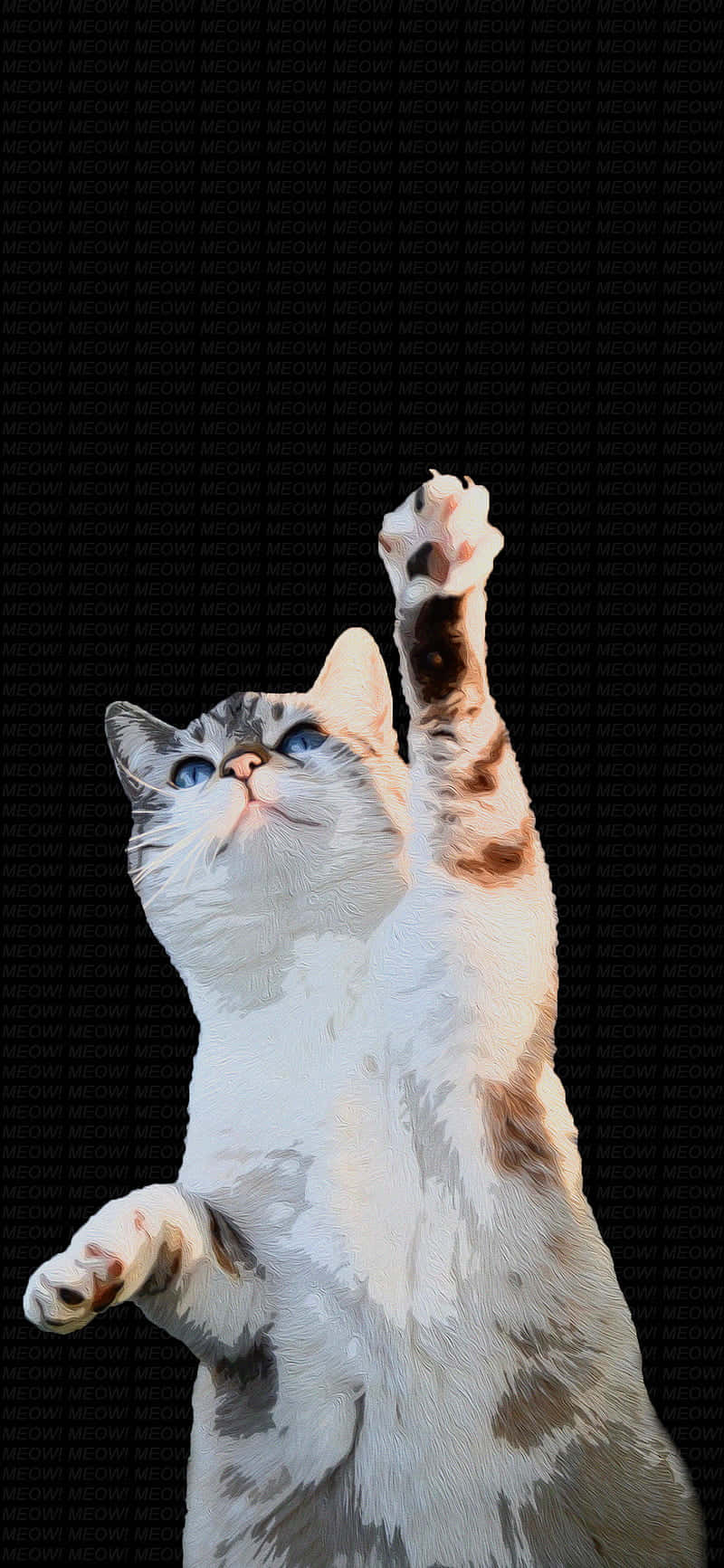 Танцуваща котка, вдигаща лапа.JPG Тапет