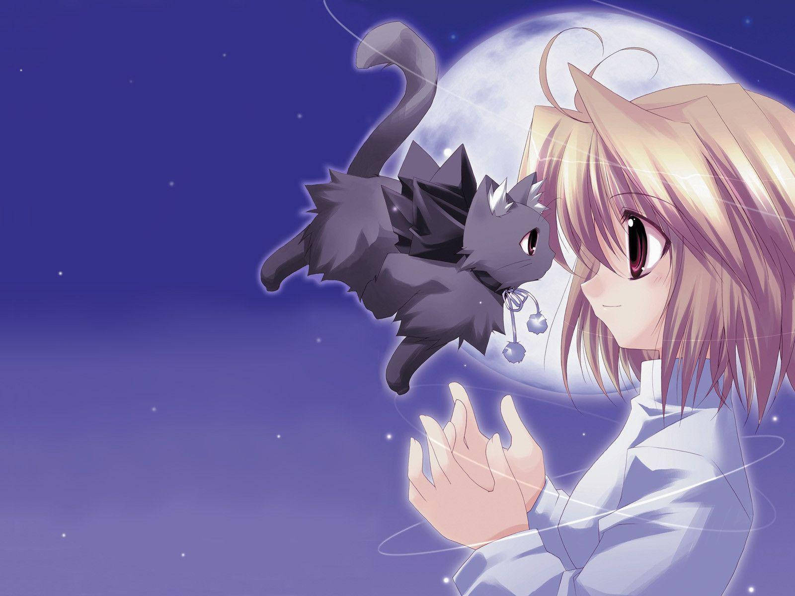Kawaii Аниме Arcueid Brunestud с летяща котка Тапет