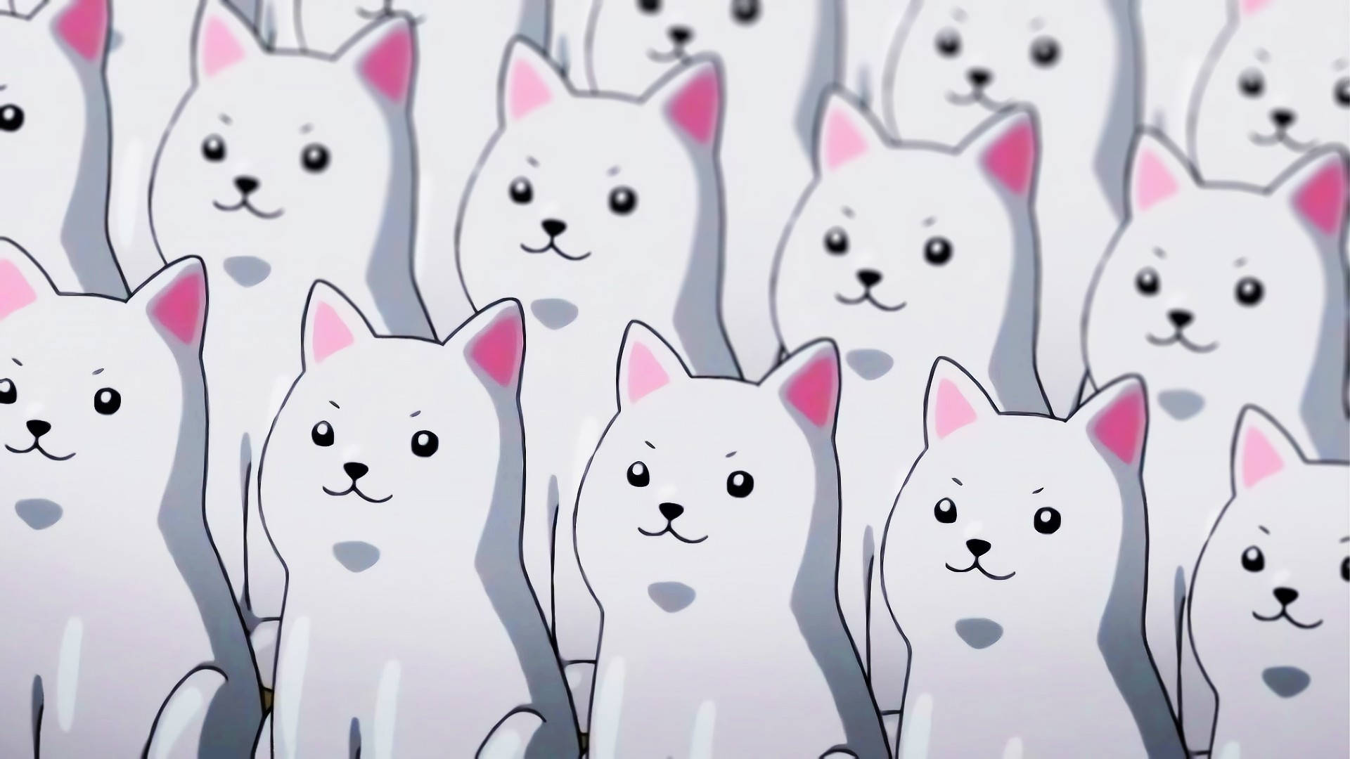 Kawaii HD Бели кучета Тапет