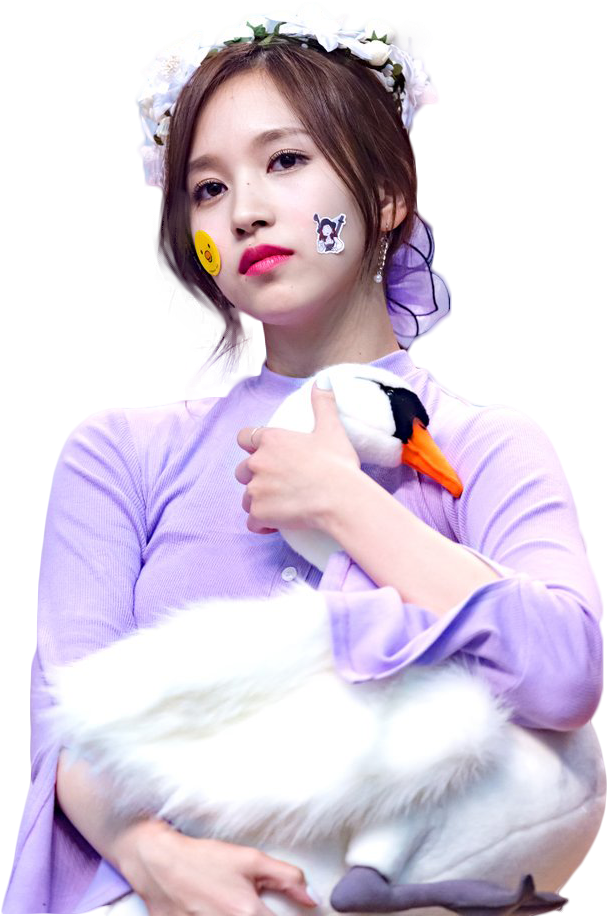 Kpop звезда с плюшен лебед Тапет