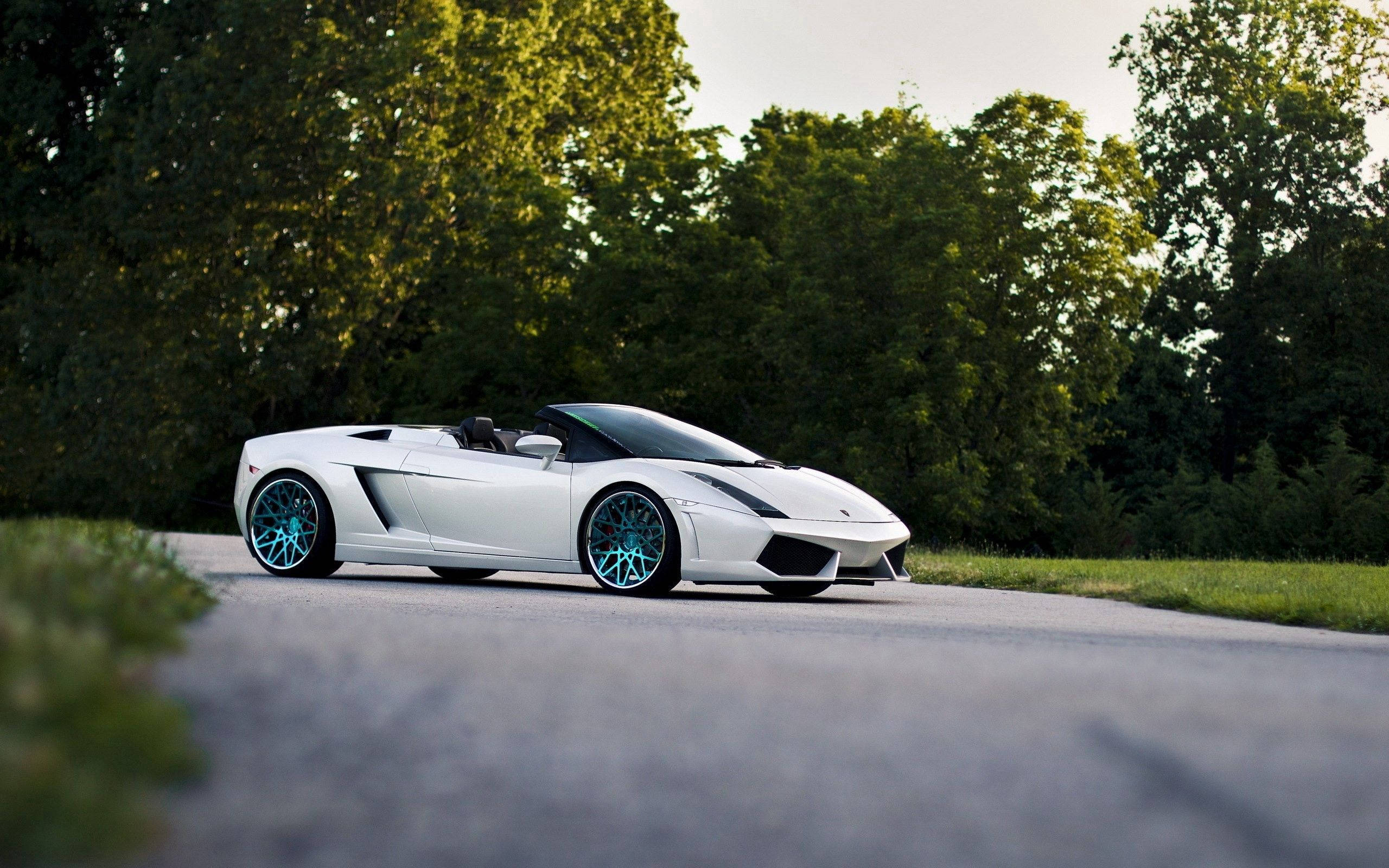 Бял Lamborghini Gallardo Spyder със свалени покрив Тапет