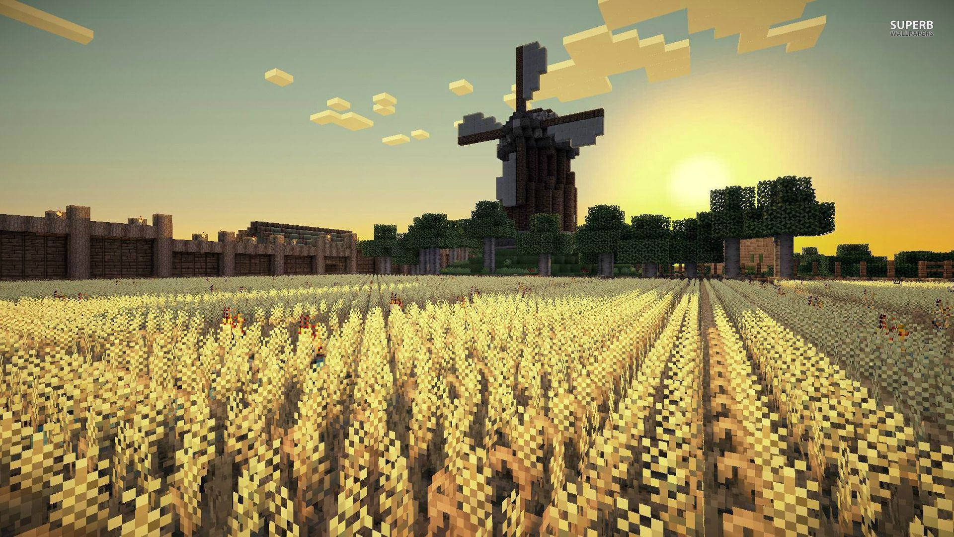 Наслаждавайки се на спокойната сутрин в оризище в Minecraft Тапет