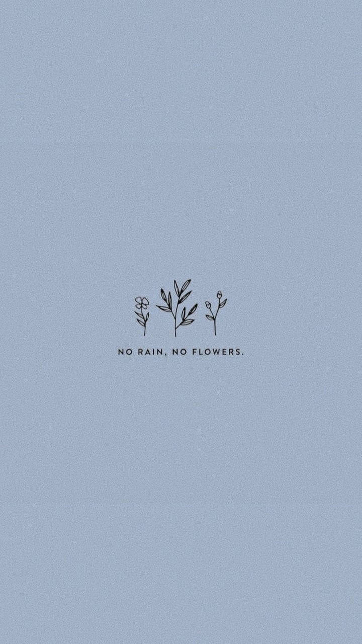 No Rain No Flowers Сладка Естетика Тапет