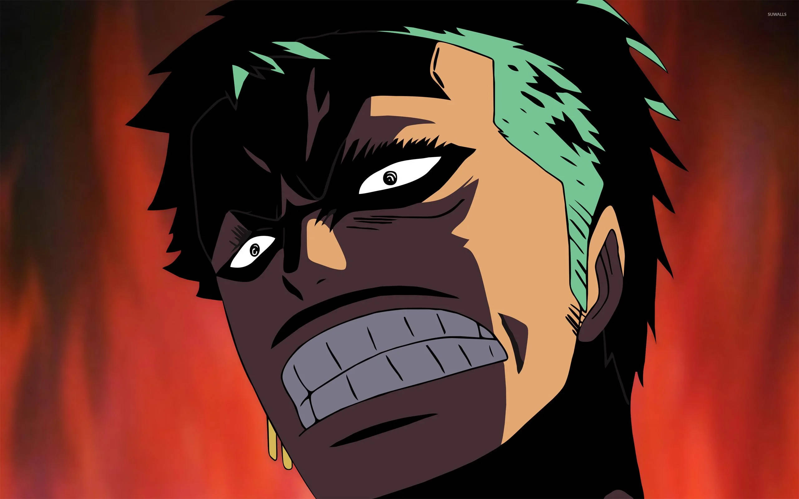 Забавен аниме One Piece Зоро Тапет