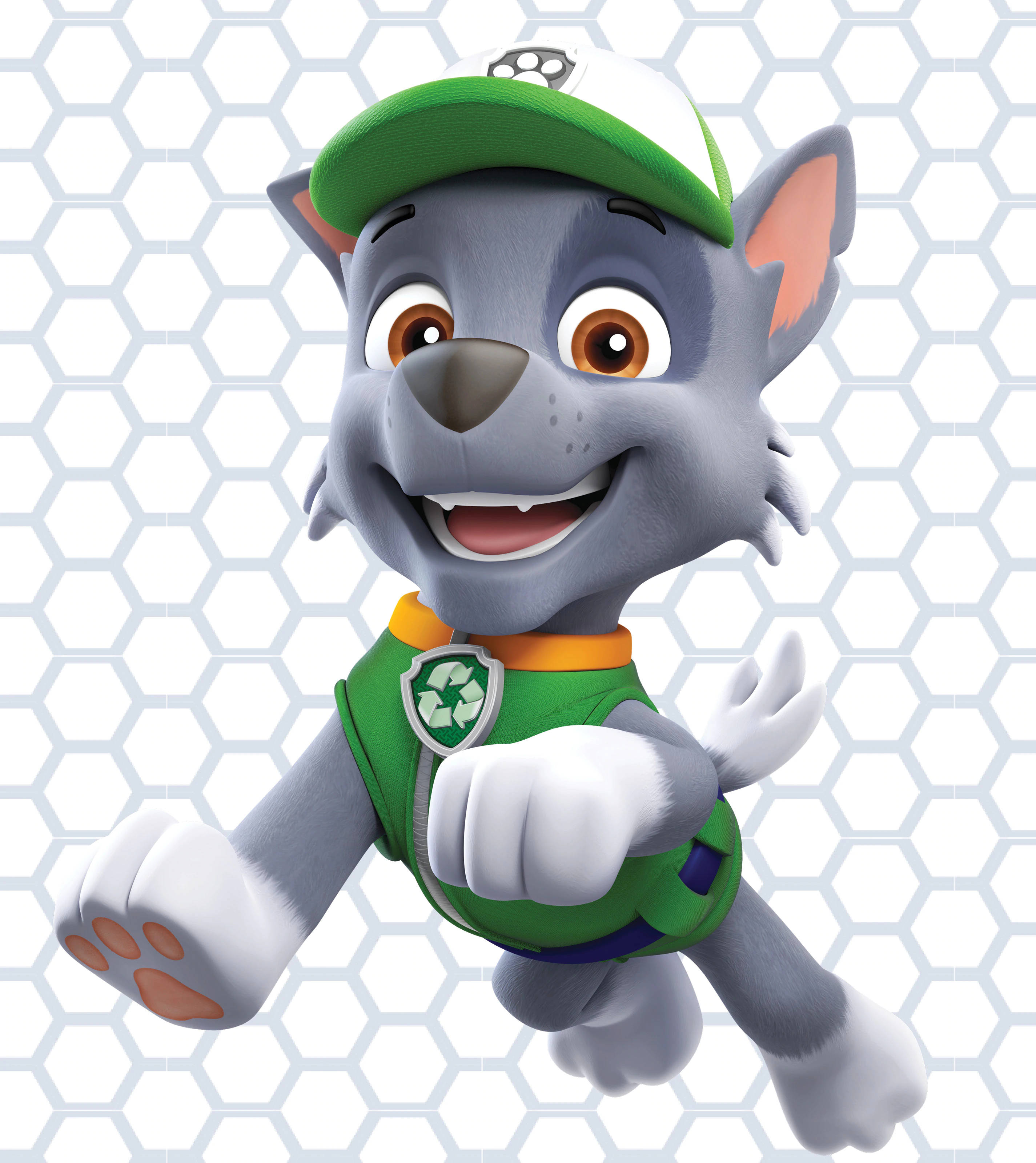 Paw Patrol Rocky Тапет