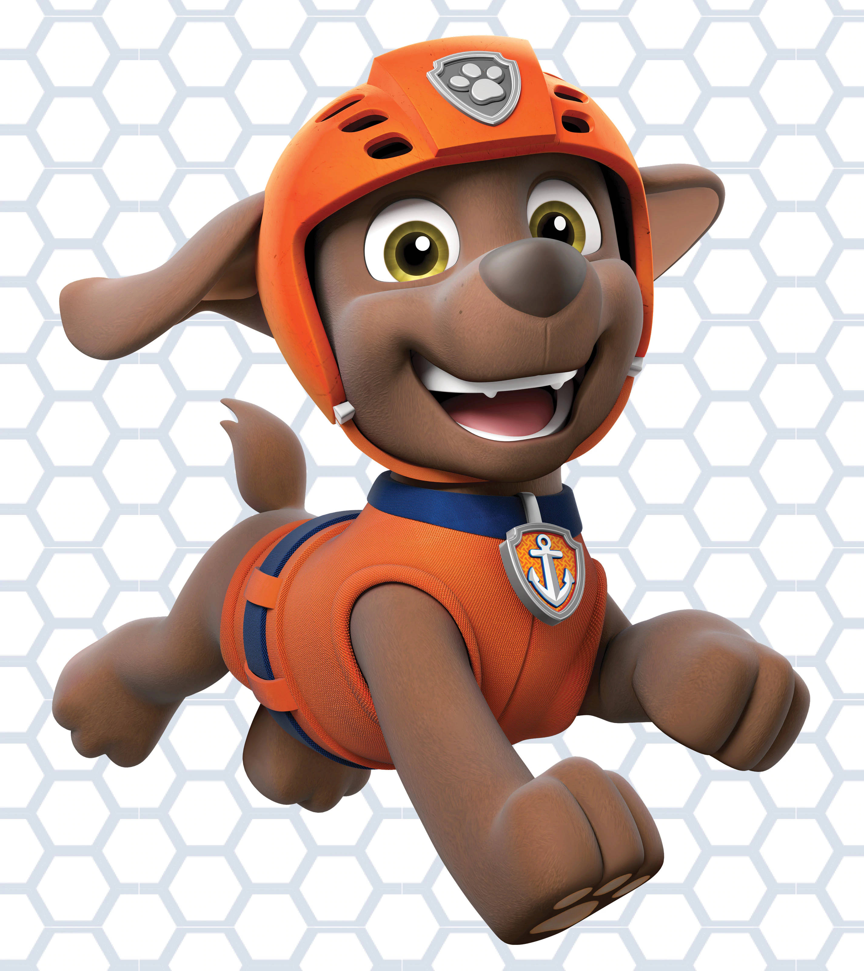 Paw Patrol Water Rescuer Zuma Тапет