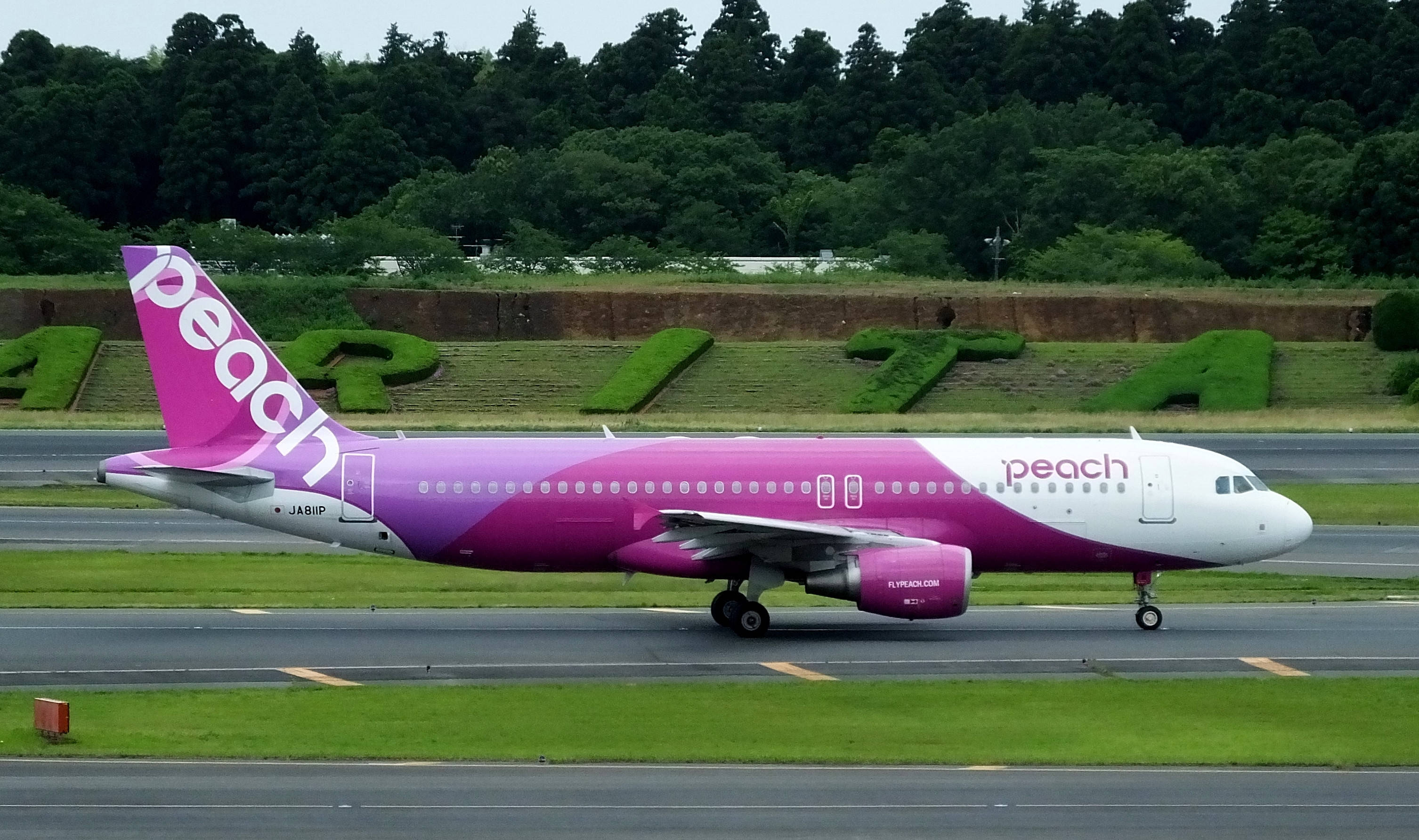 Peach Aviation на летище Нарита Тапет