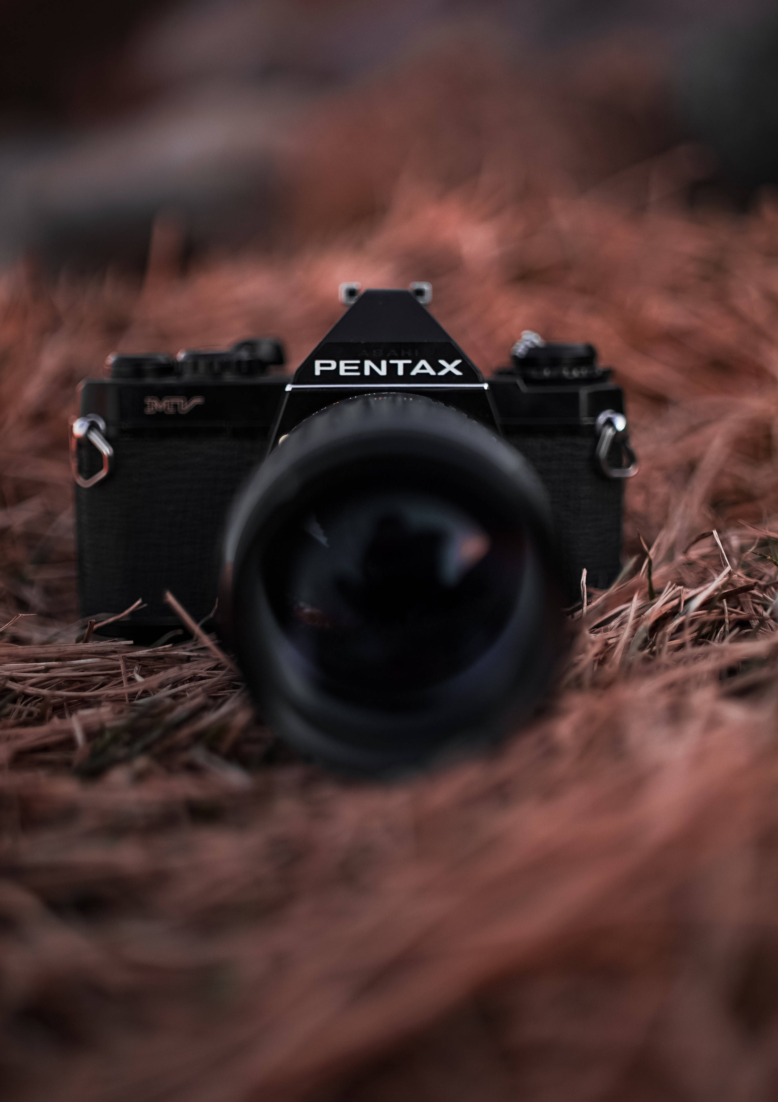 Улови красотата на живота с фотоапарат Pentax Тапет