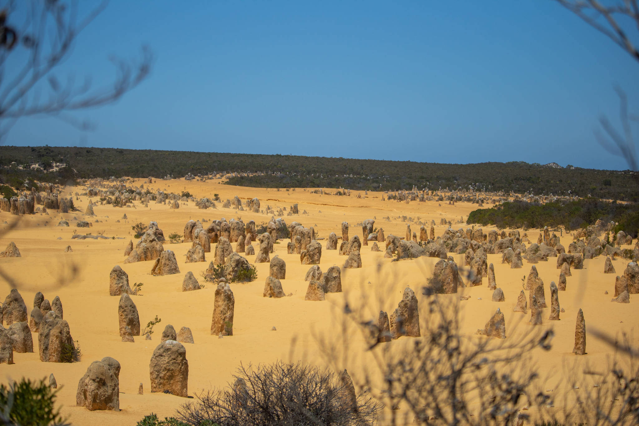 Perth Yanchep National Park Тапет